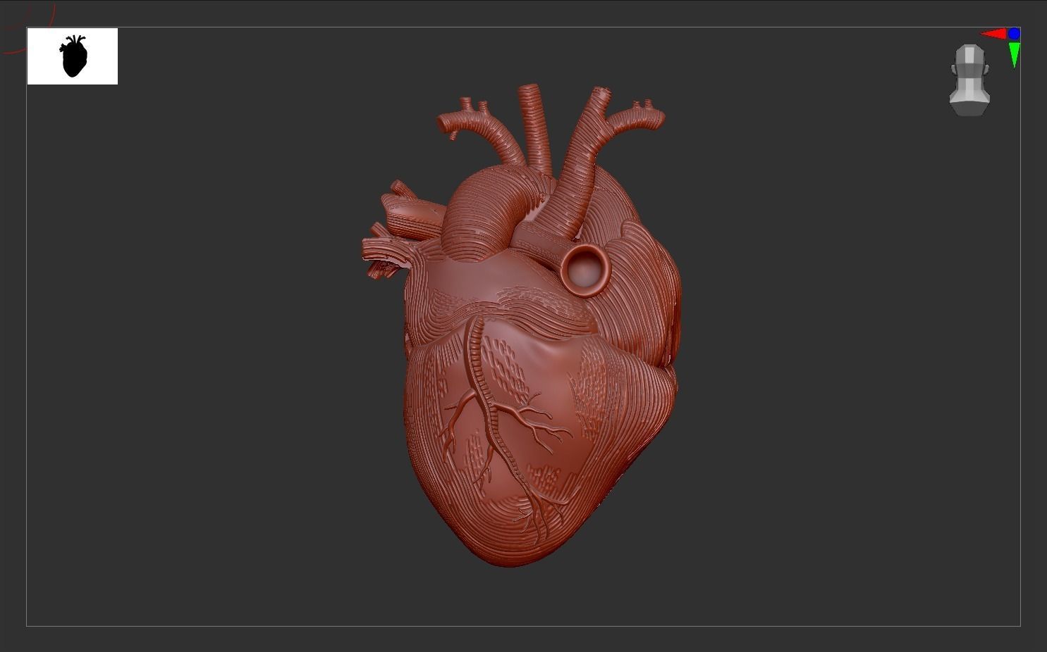 Heart Print human 3D print model 3D print model_7
