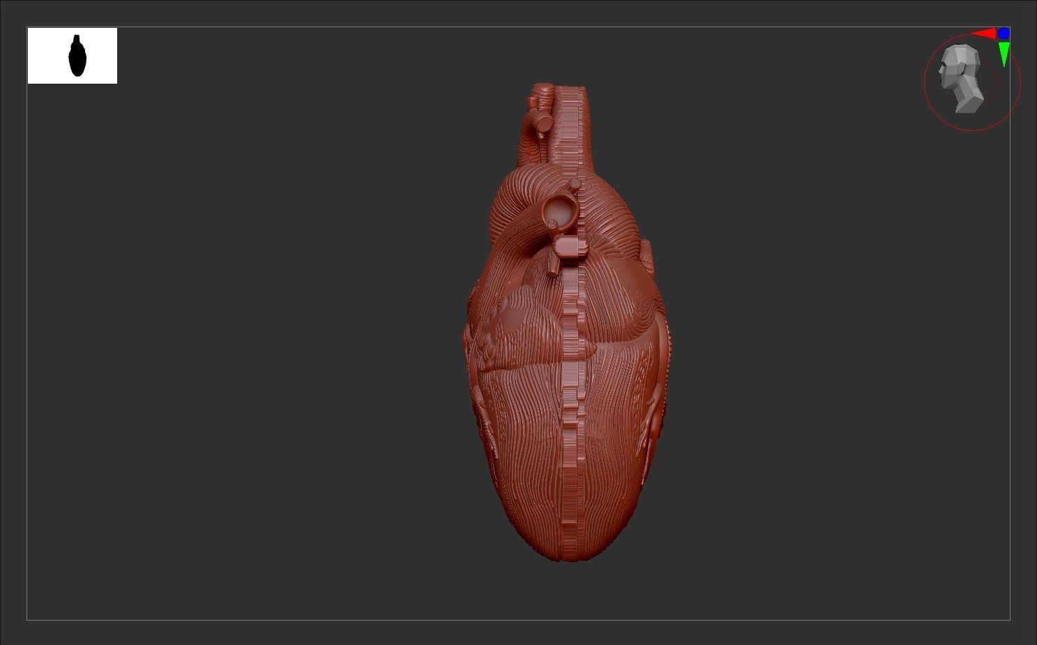 Heart Print human 3D print model 3D print model_9