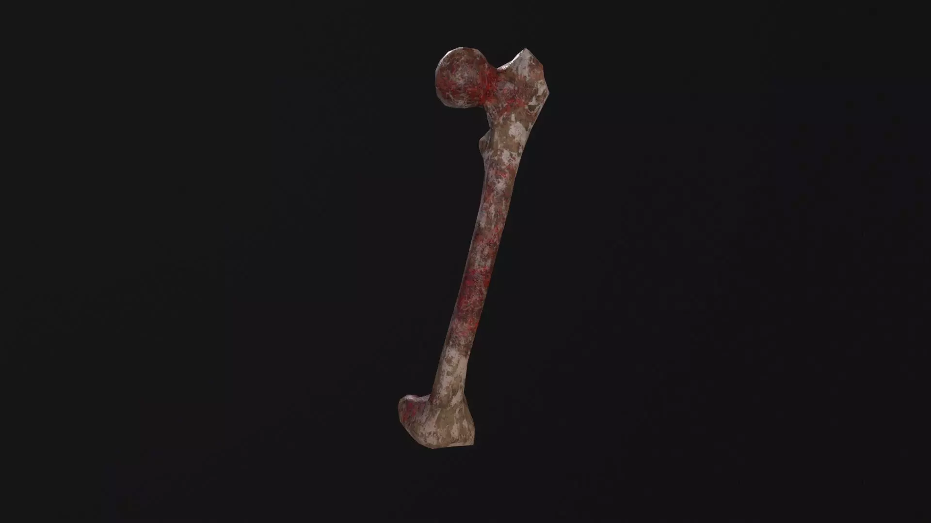 Bone 3D Model Low-poly 3D model_0