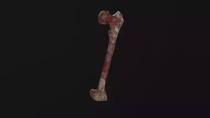 Bone 3D Model Low-poly 3D model