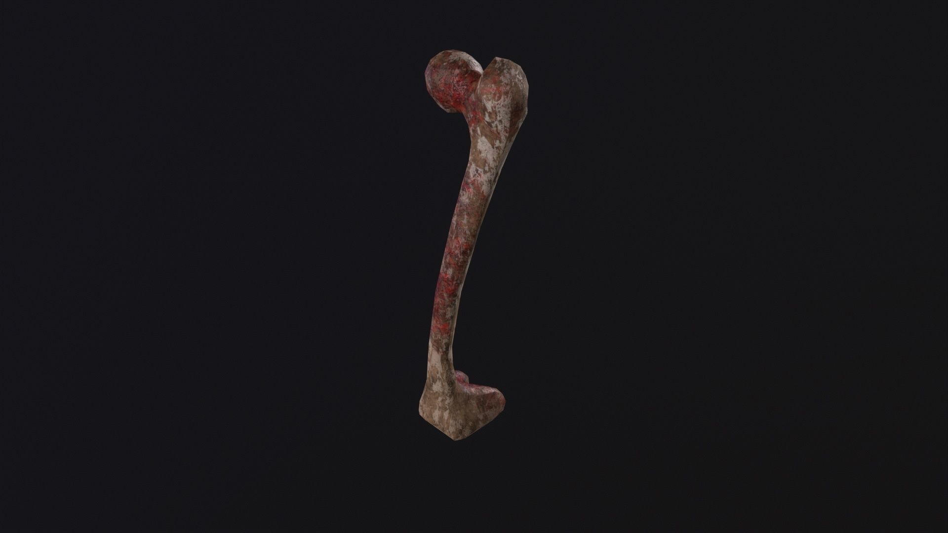 Bone 3D Model Low-poly 3D model_2