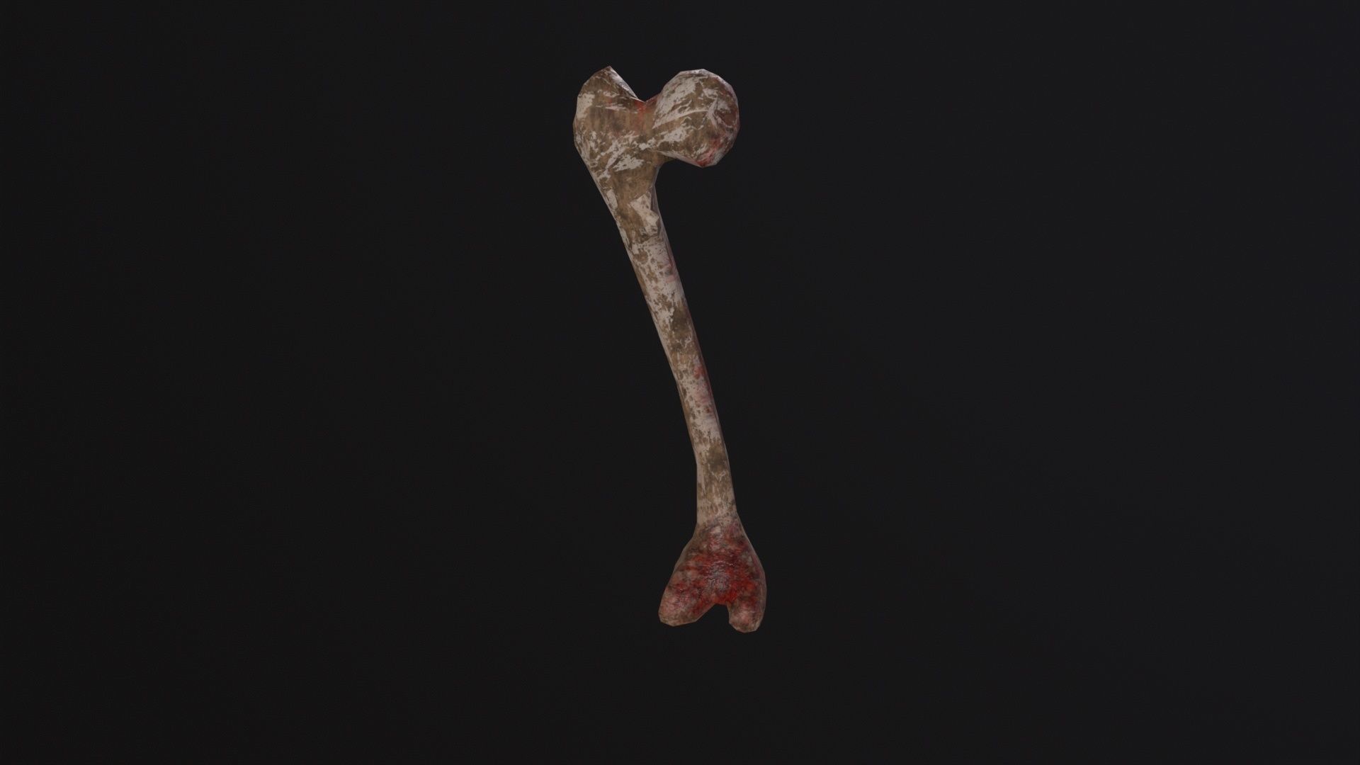 Bone 3D Model Low-poly 3D model_3