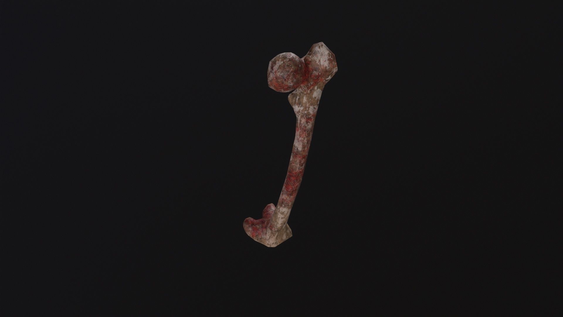 Bone 3D Model Low-poly 3D model_5