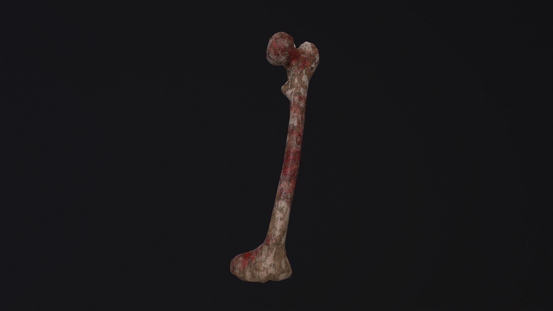 Bone 3D Model Low-poly 3D model_4