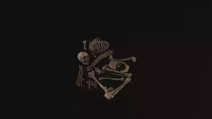 Dead Skeleton Low-poly 3D model