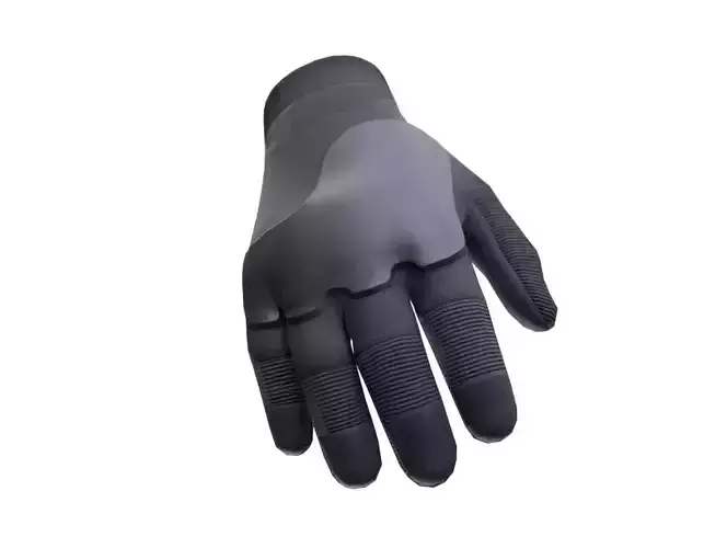 Gloves