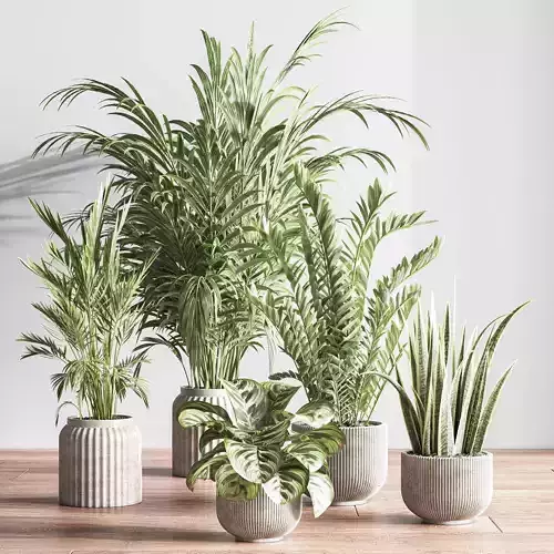  IndoorSetPlant053 3D model