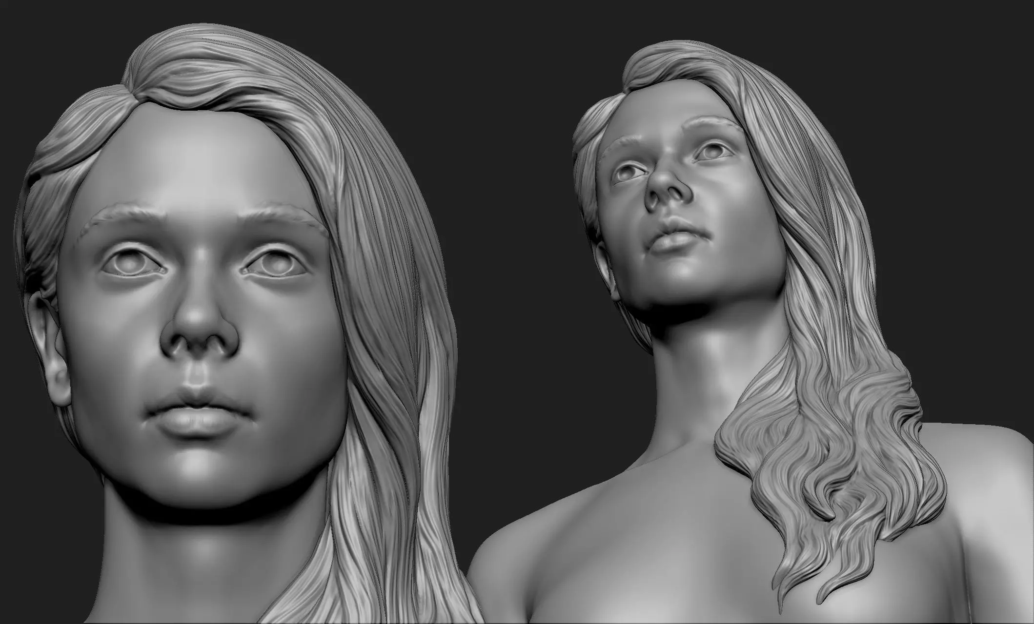 Female Bust With Long Hair 3D model