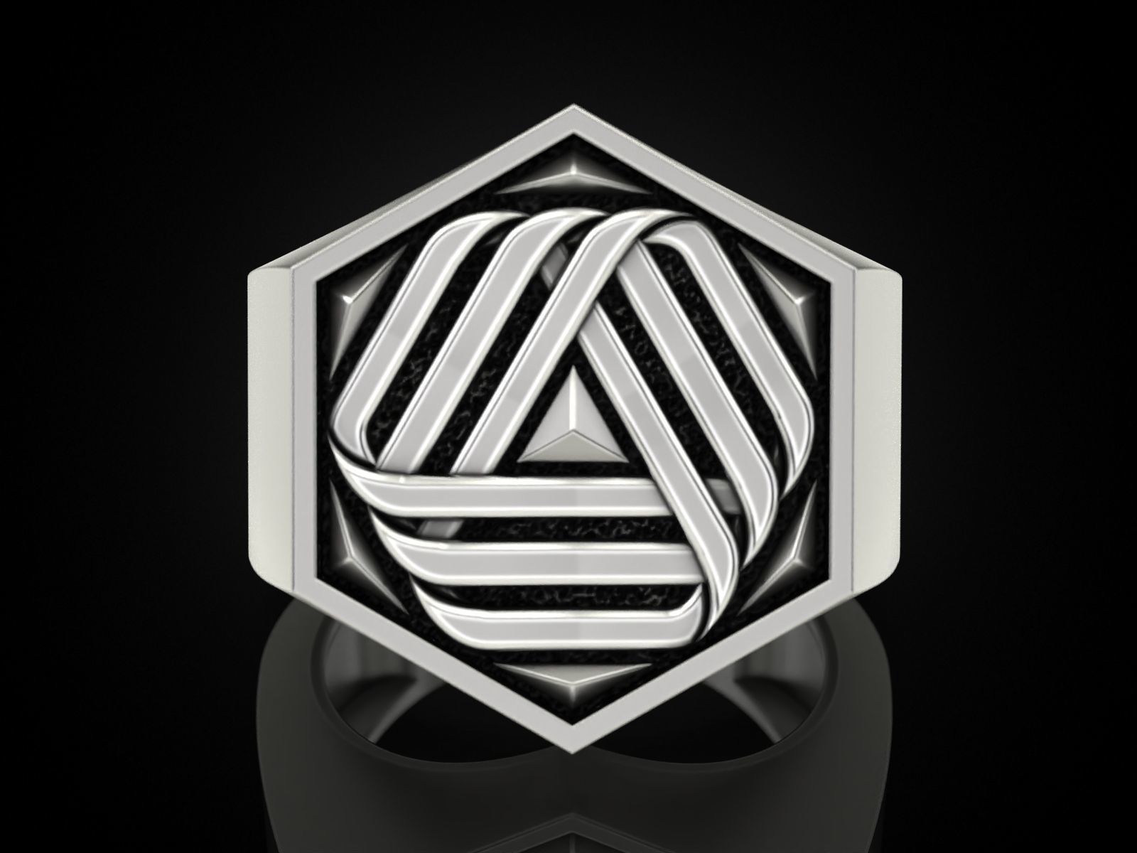 Ring 141223 3D print model_22