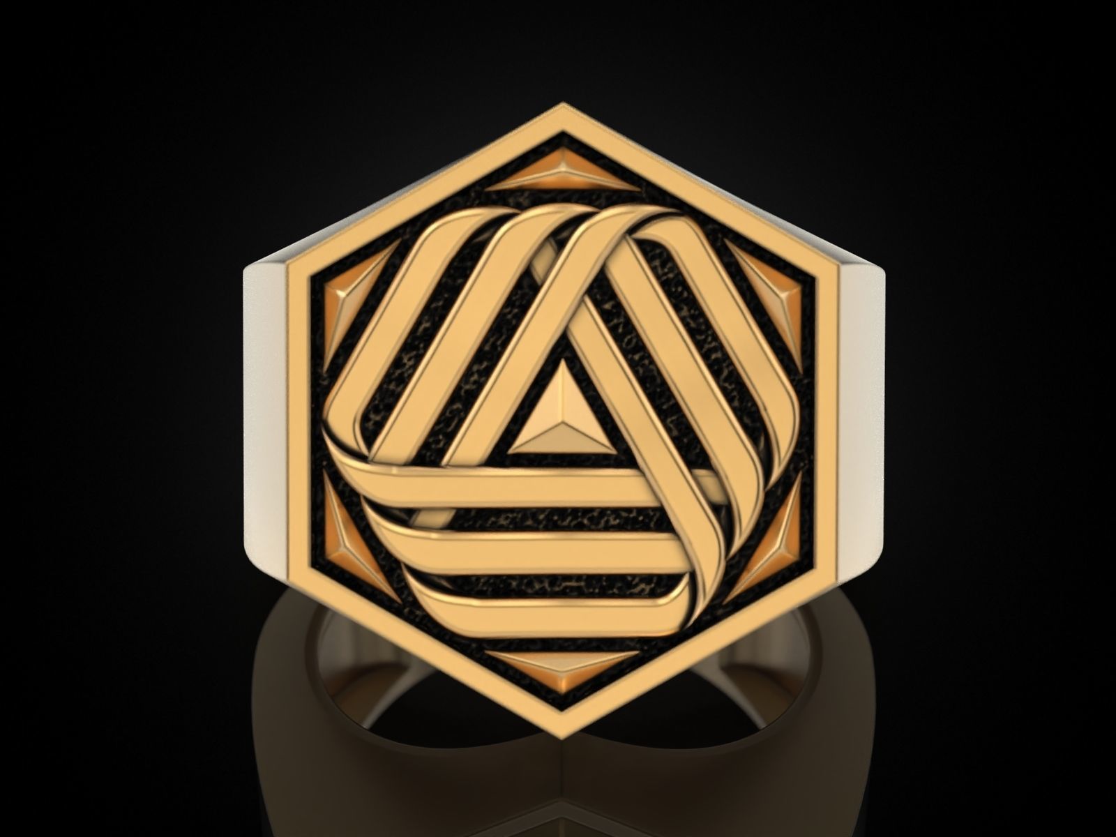 Ring 141223 3D print model_18