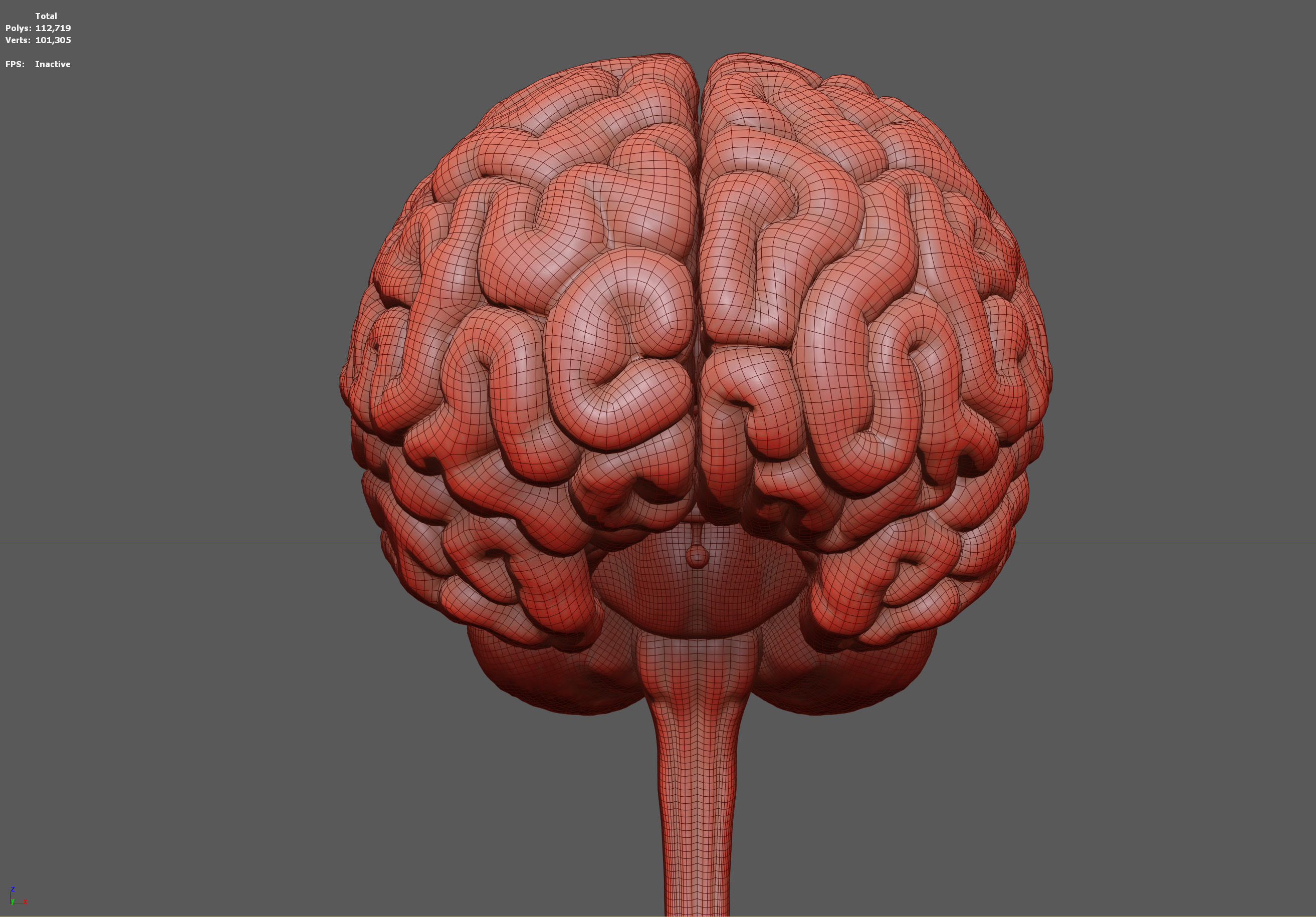 Human Brain Low-poly 3D model_13