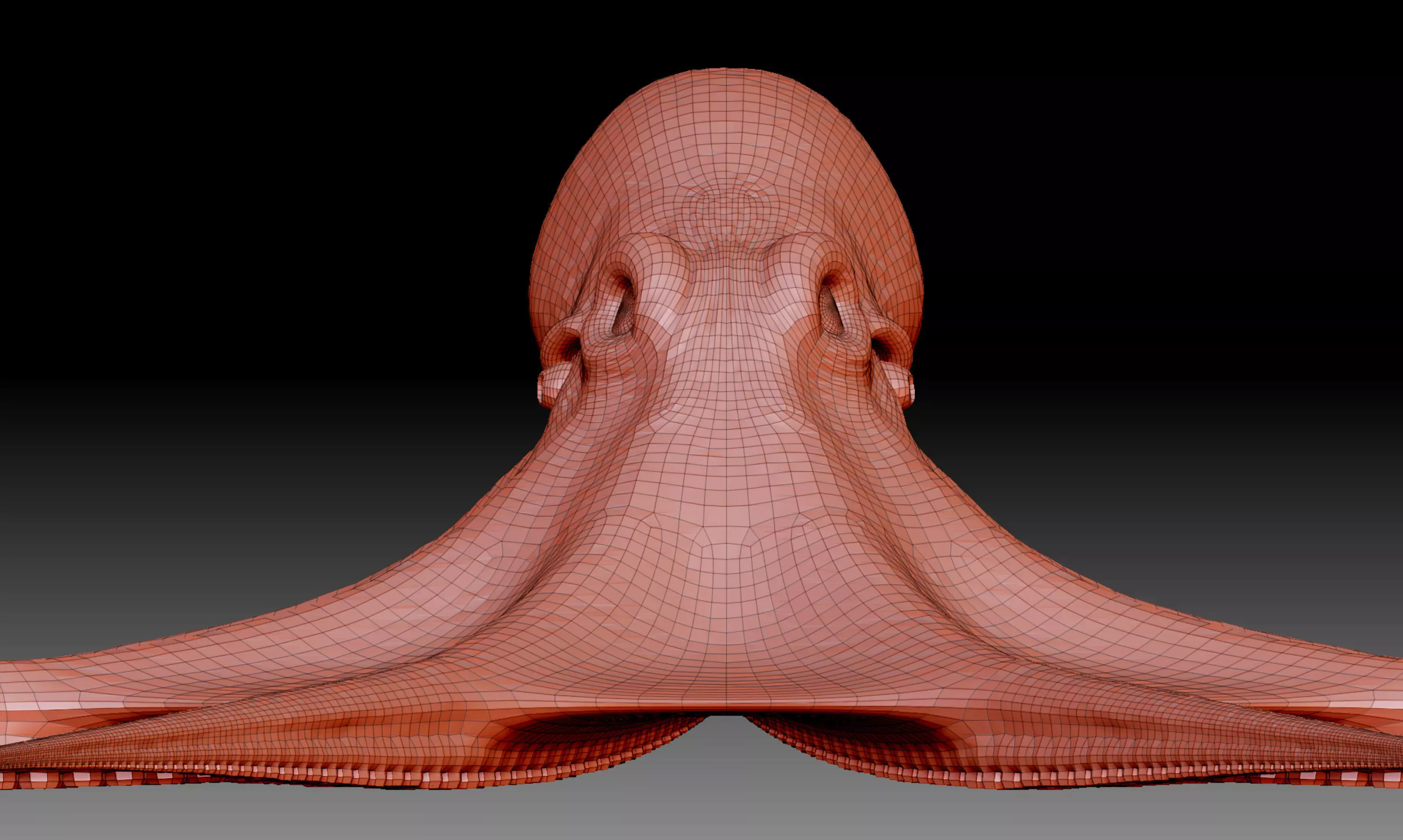 Octopus base mesh 3D model_0