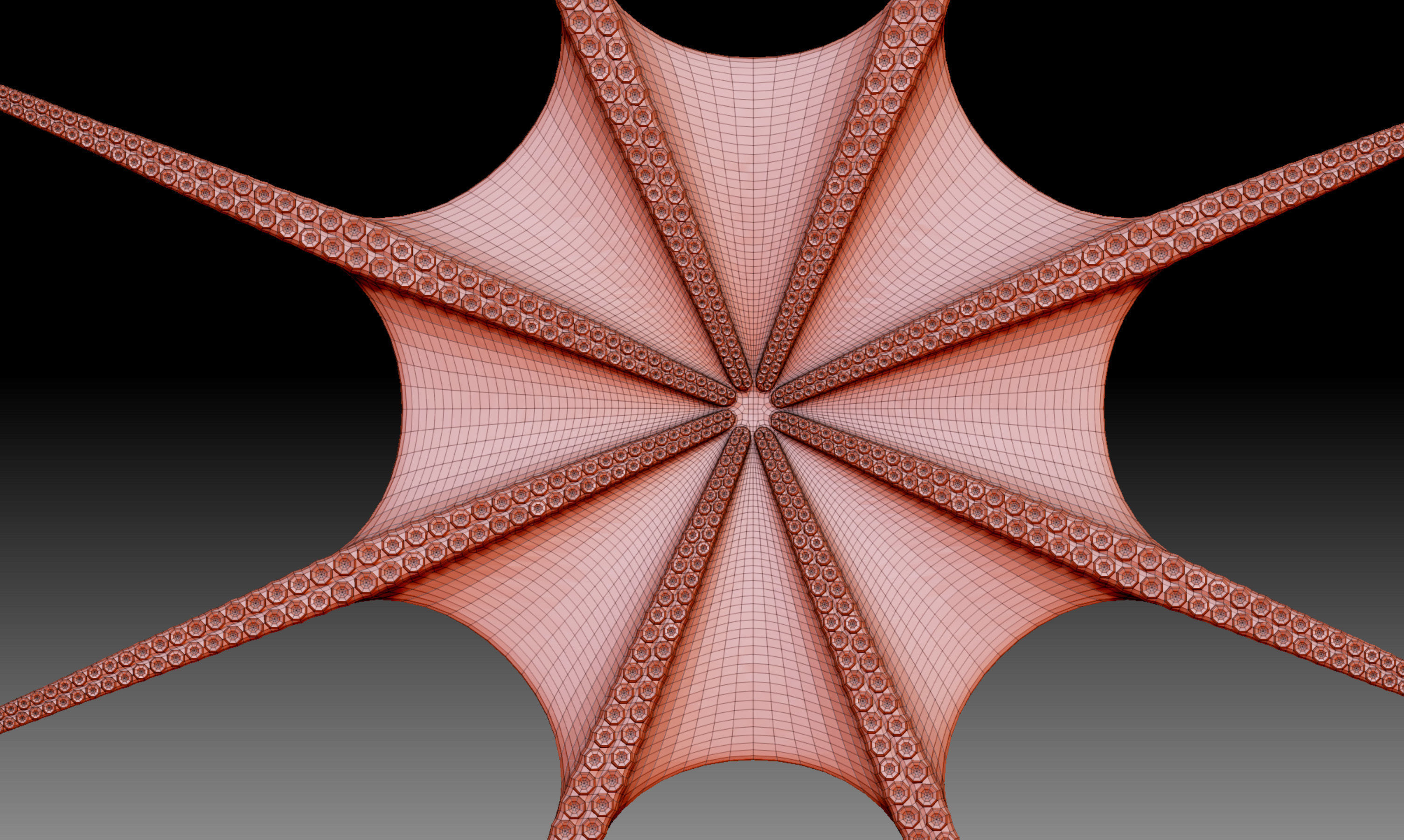 Octopus base mesh 3D model_4