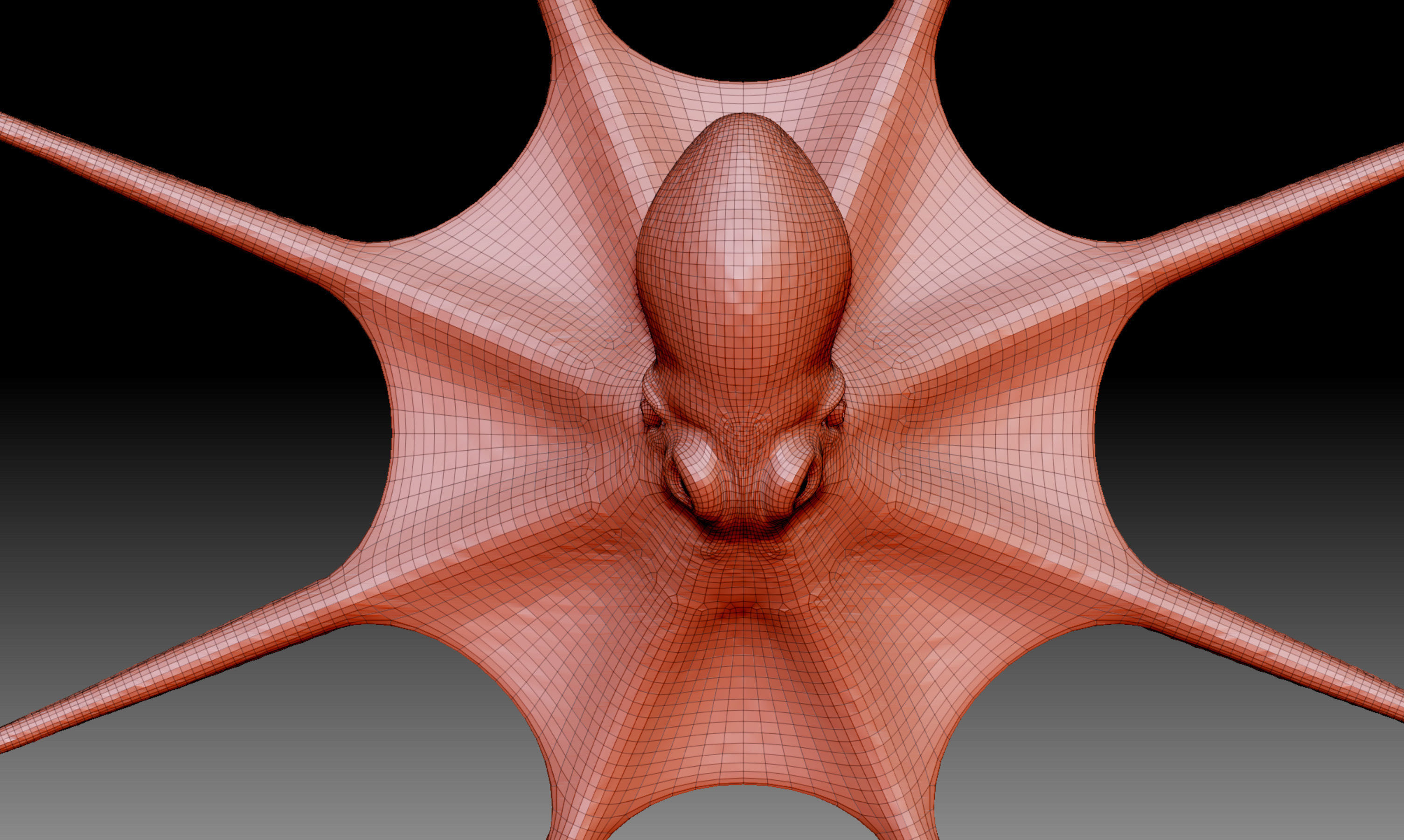 Octopus base mesh 3D model_5
