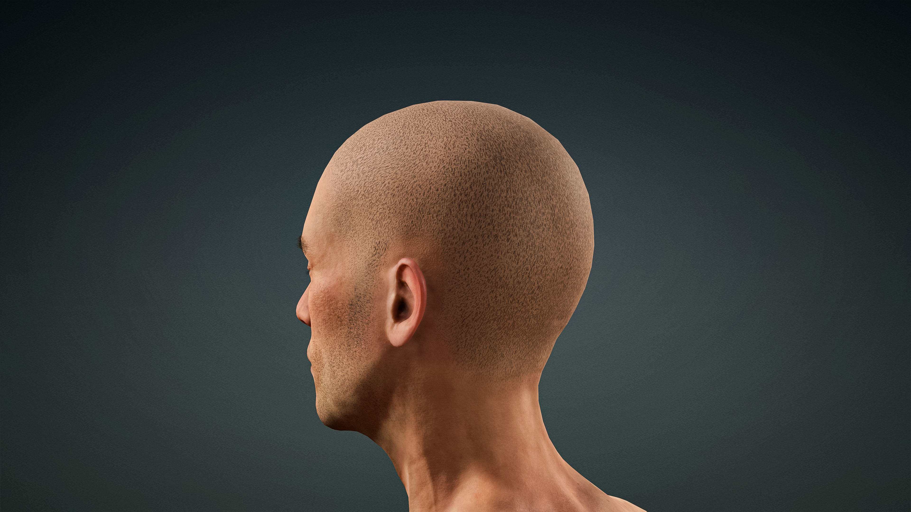 High Quality Realistic Male Base Mesh Skinny -Fully Rigged- Low-poly 3D model_13