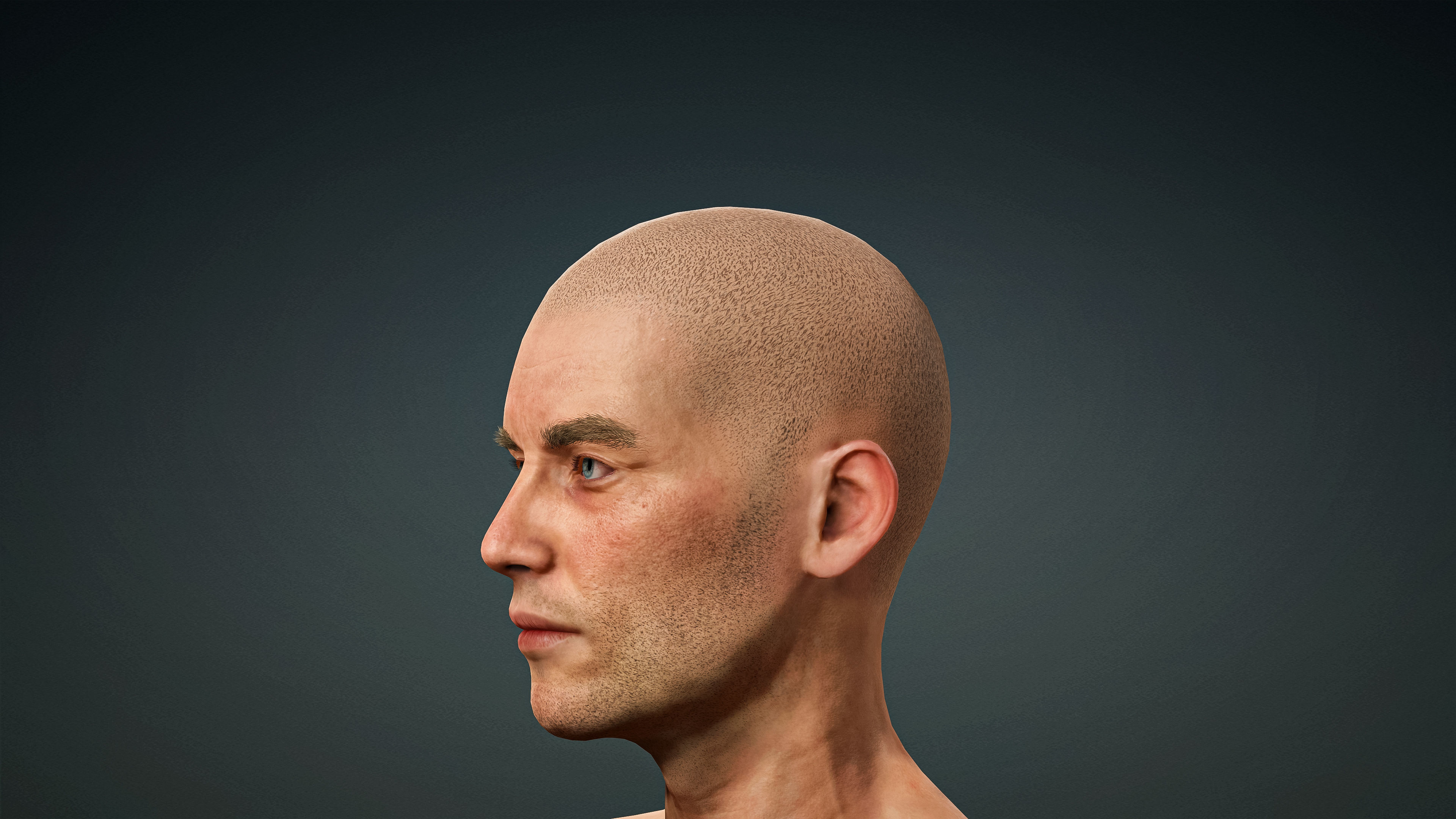 High Quality Realistic Male Base Mesh Skinny -Fully Rigged- Low-poly 3D model_11