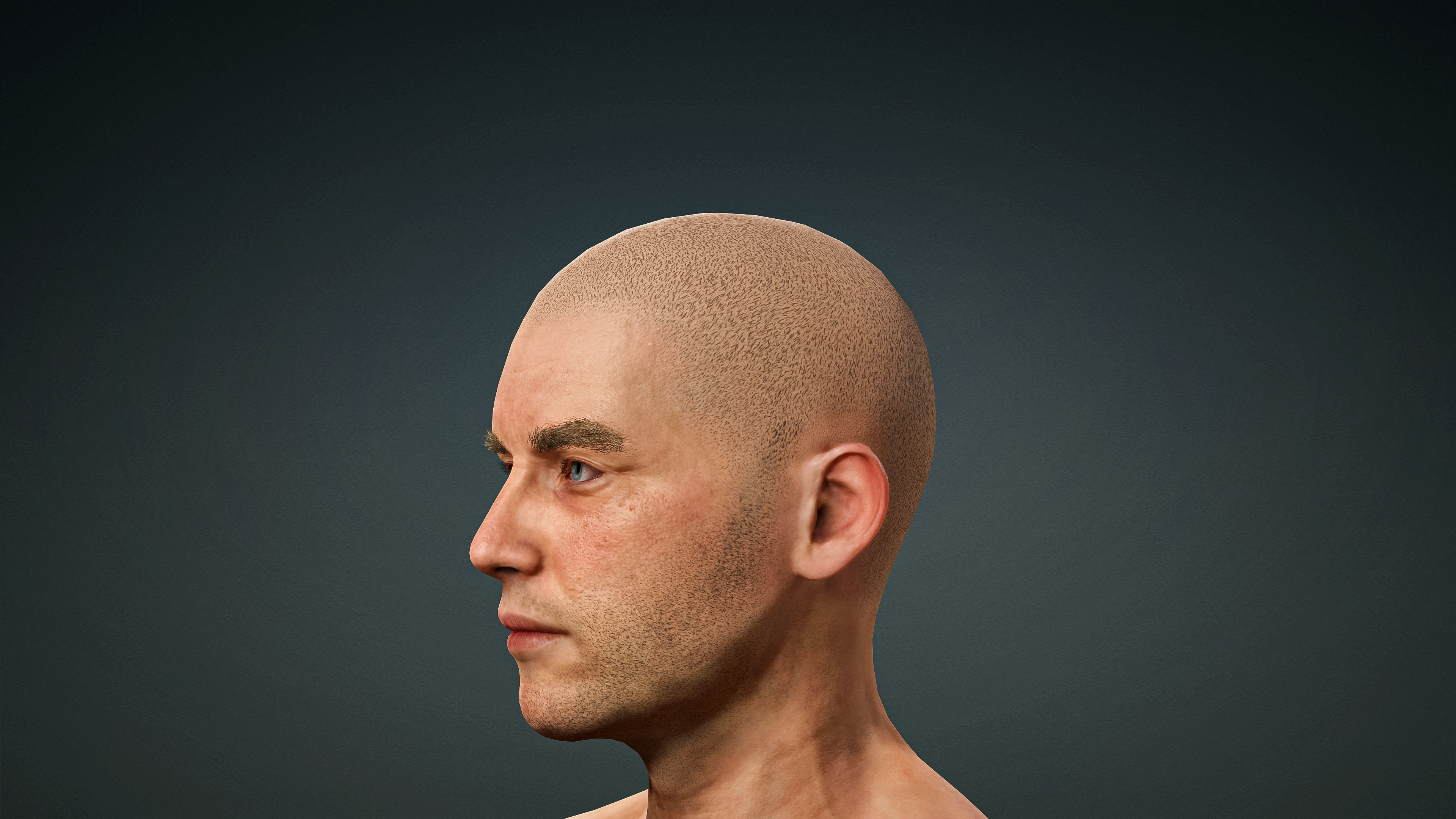 High Quality Realistic Male Base Mesh -Fully Rigged- Low-poly 3D model_11