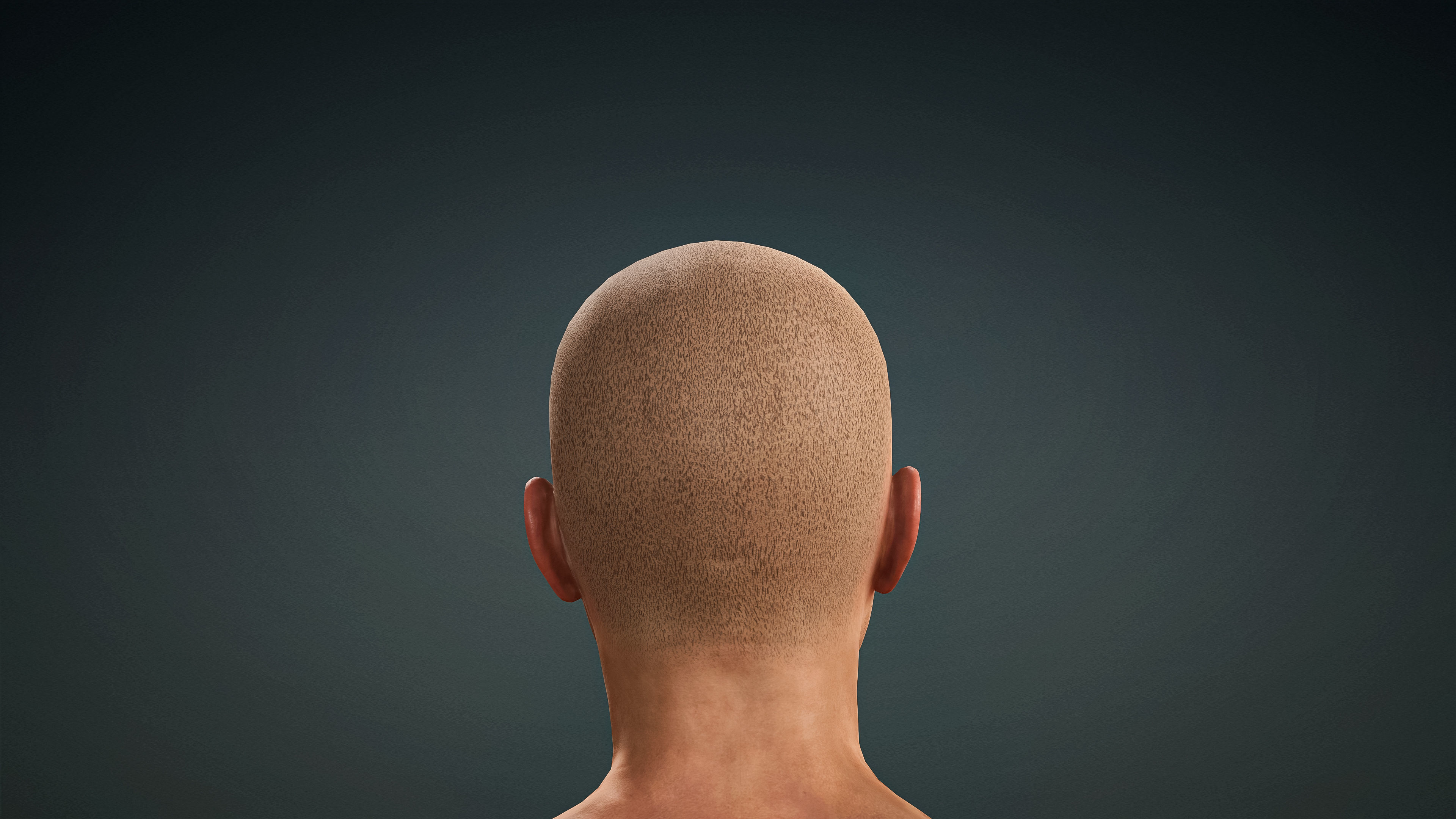 High Quality Realistic Male Base Mesh -Fully Rigged- Low-poly 3D model_15