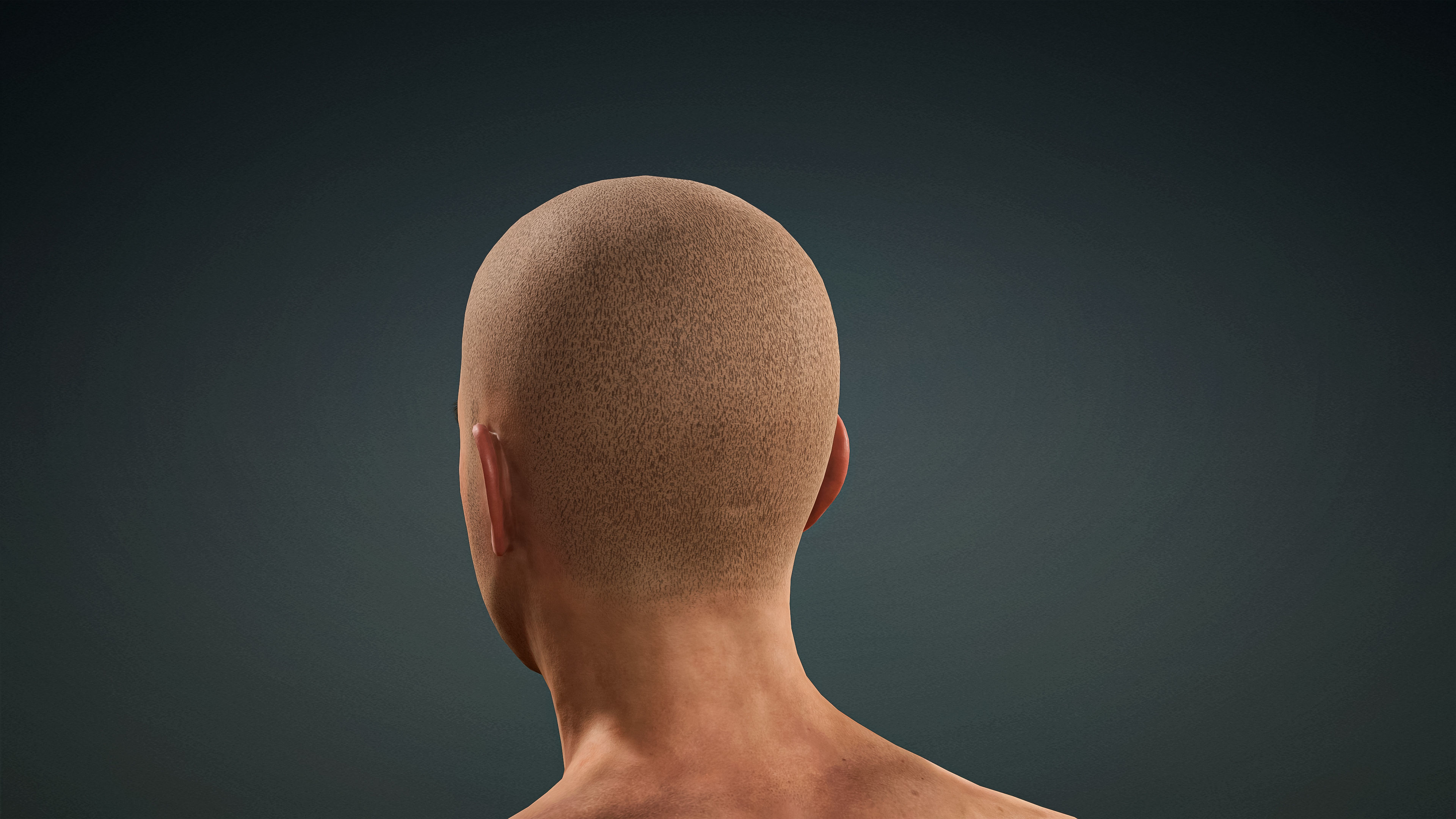 High Quality Realistic Male Base Mesh -Fully Rigged- Low-poly 3D model_14