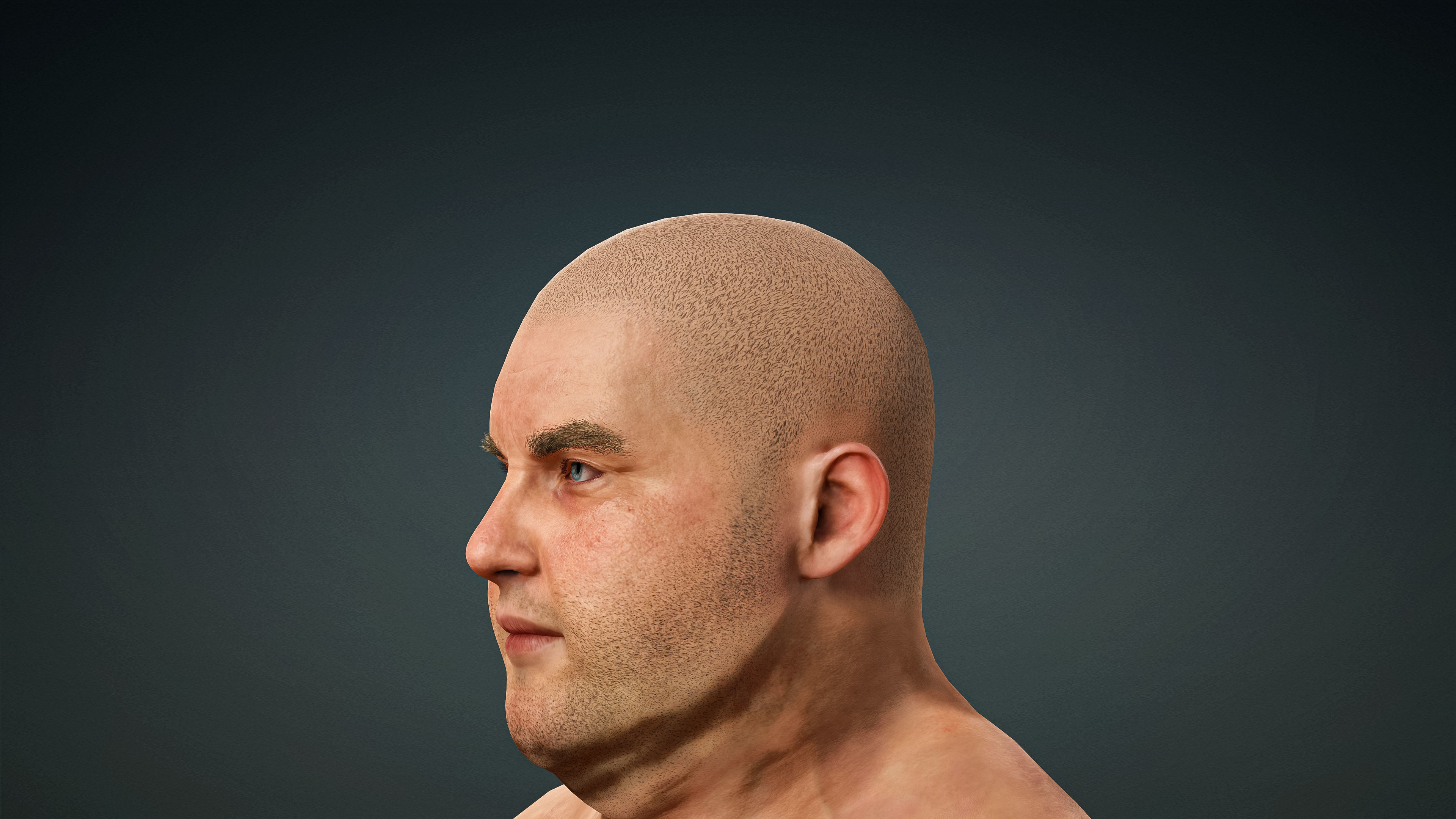 High Quality 3 Realistic Male Base Meshes -Fully Rigged- 3D Model Collection_50