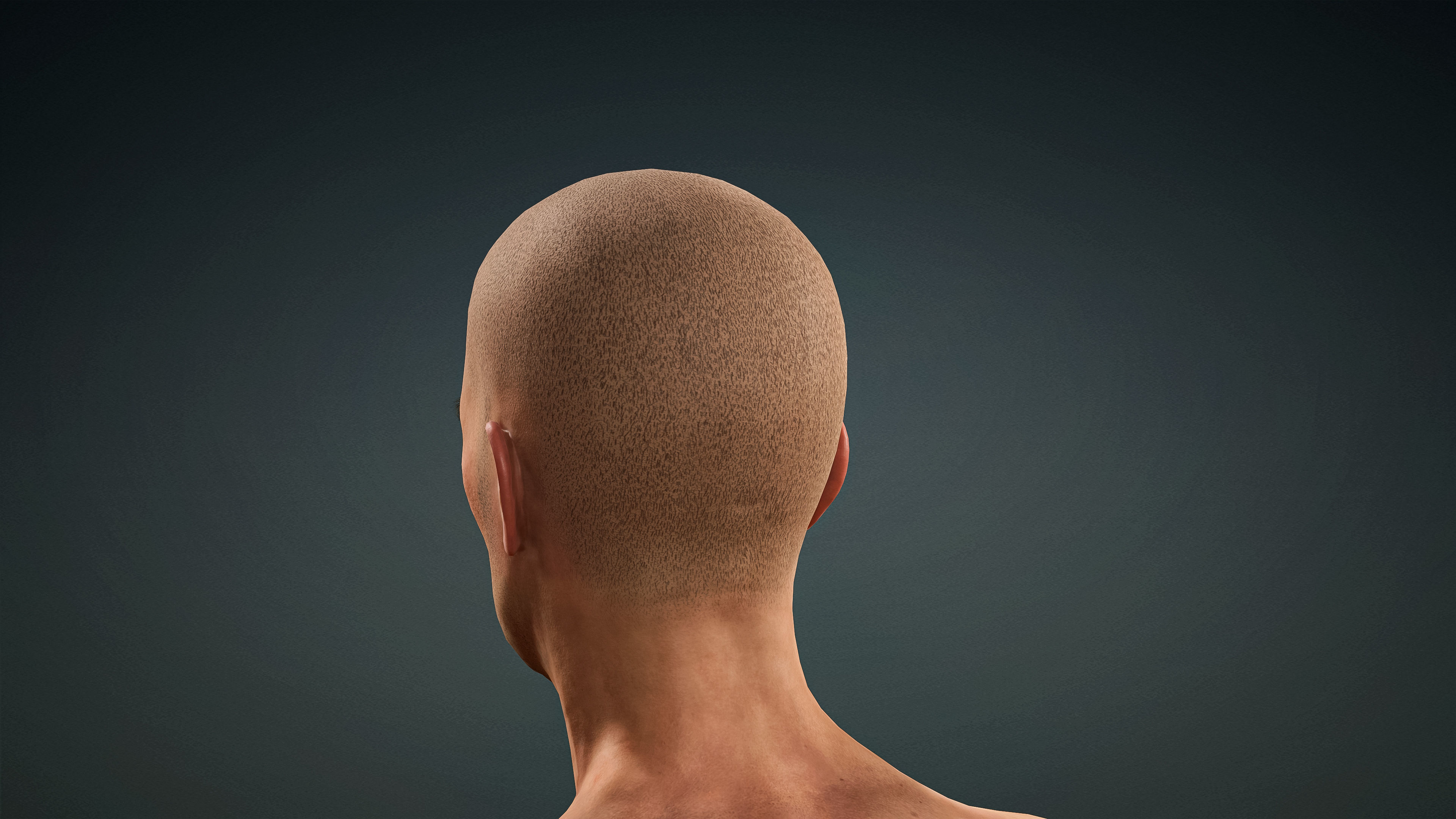 High Quality 3 Realistic Male Base Meshes -Fully Rigged- 3D Model Collection_51
