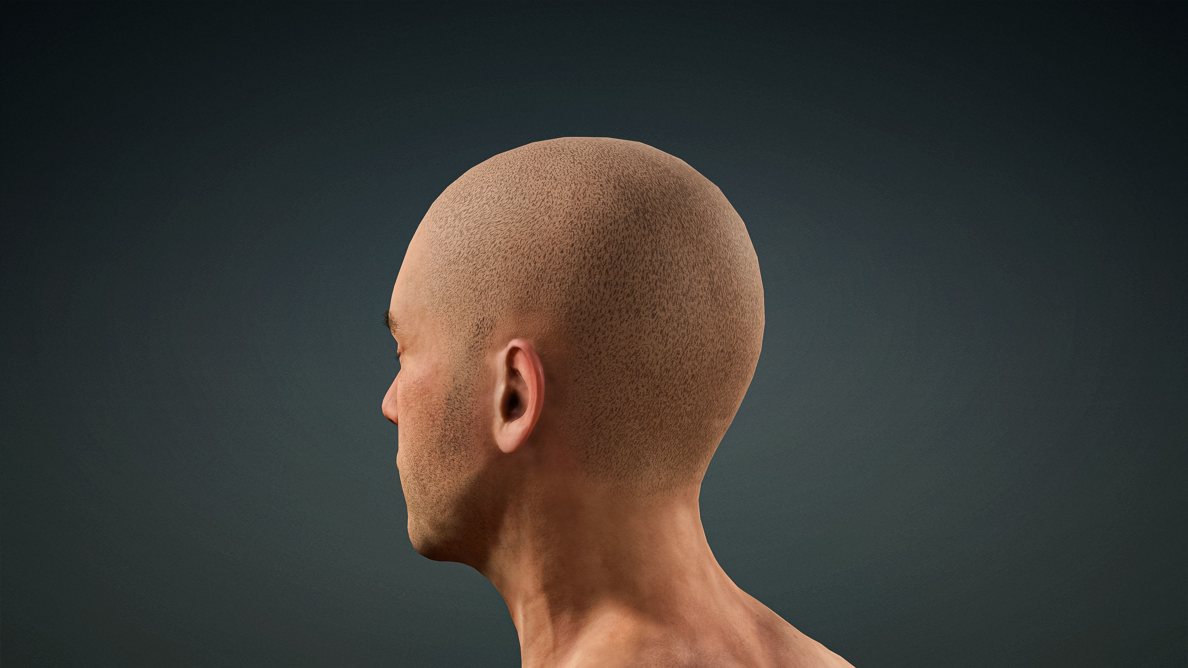 High Quality 3 Realistic Male Base Meshes -Fully Rigged- 3D Model Collection_17