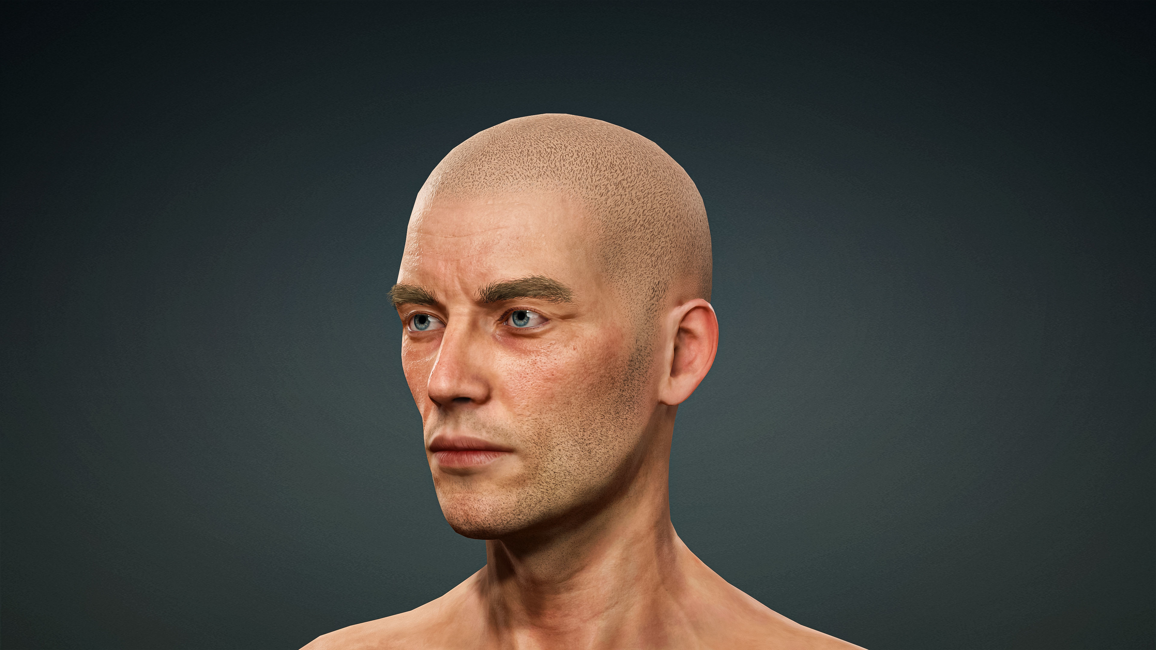 High Quality 3 Realistic Male Base Meshes -Fully Rigged- 3D Model Collection_43
