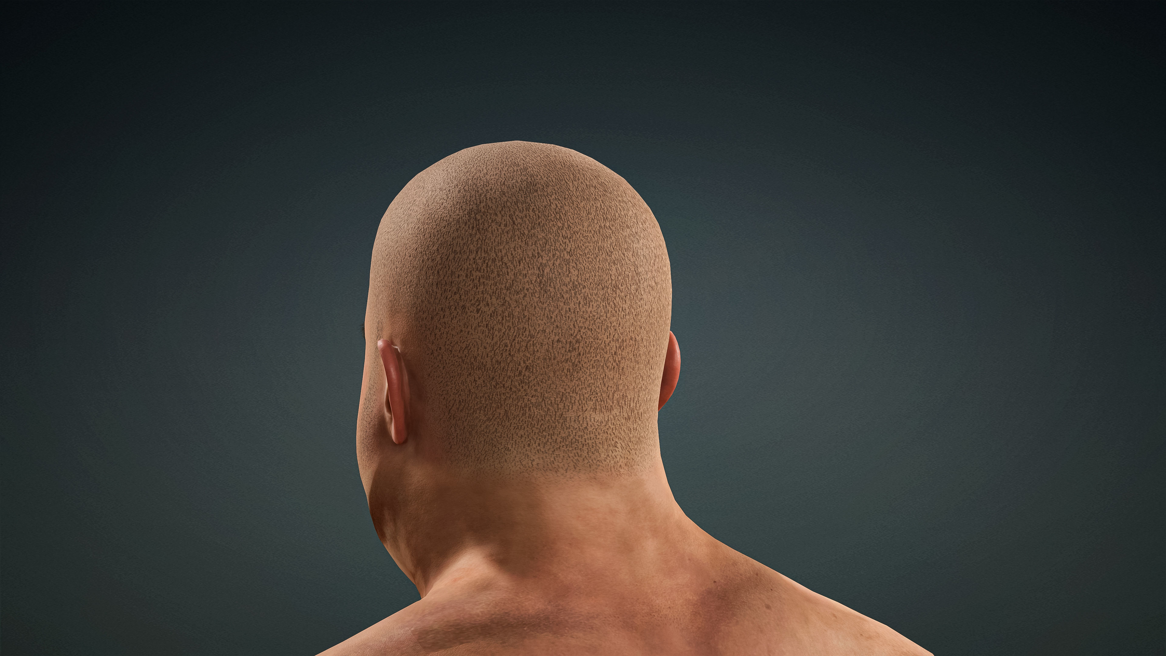 High Quality 3 Realistic Male Base Meshes -Fully Rigged- 3D Model Collection_27