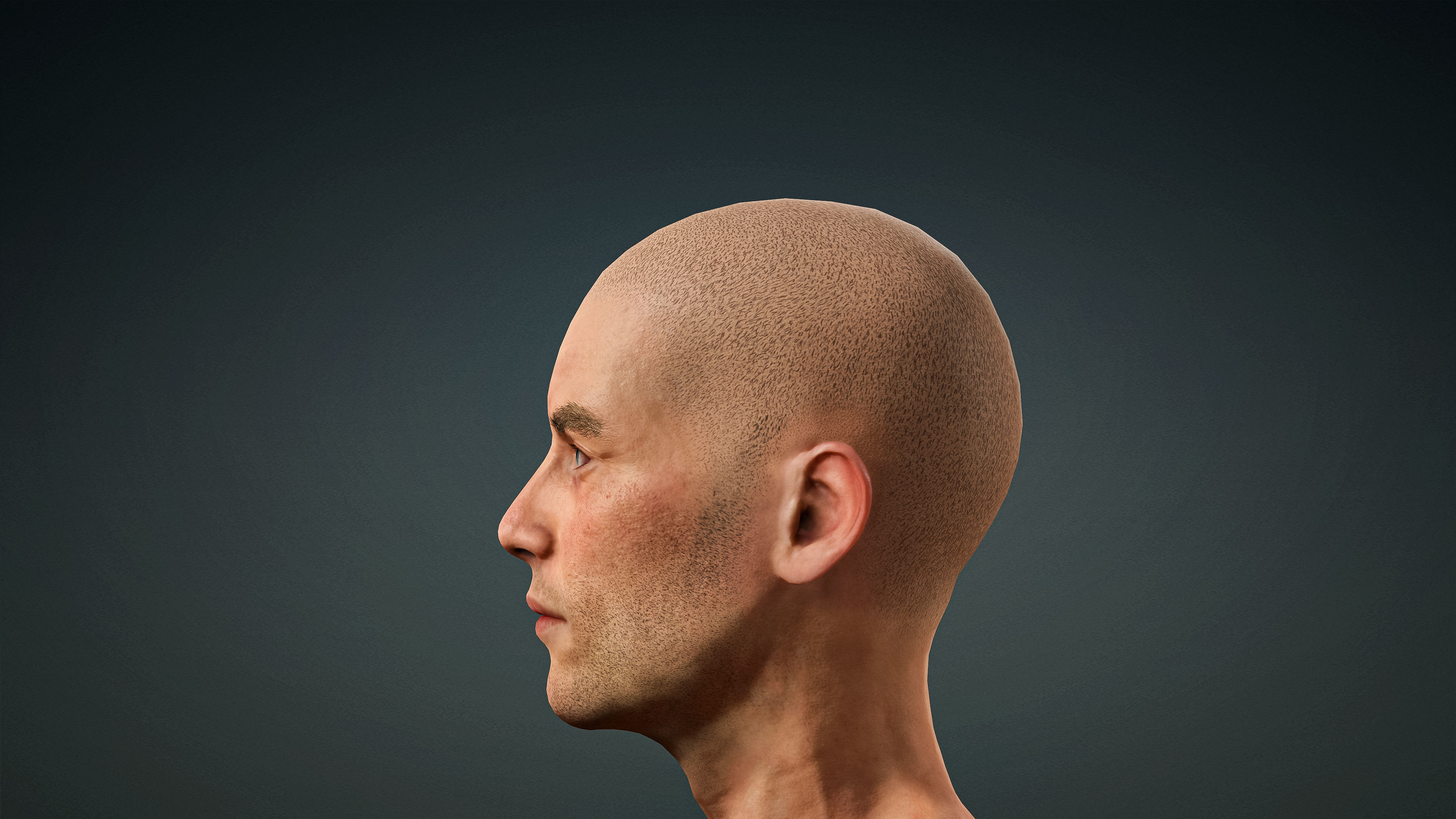 High Quality 3 Realistic Male Base Meshes -Fully Rigged- 3D Model Collection_47