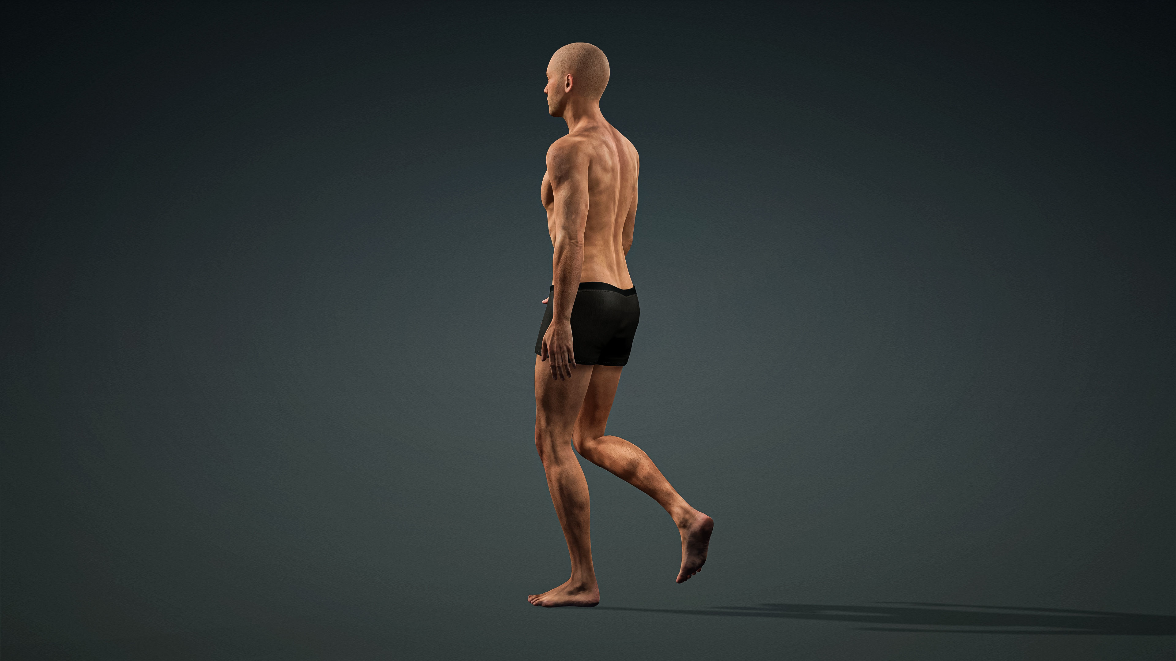 High Quality 3 Realistic Male Base Meshes -Fully Rigged- 3D Model Collection_10