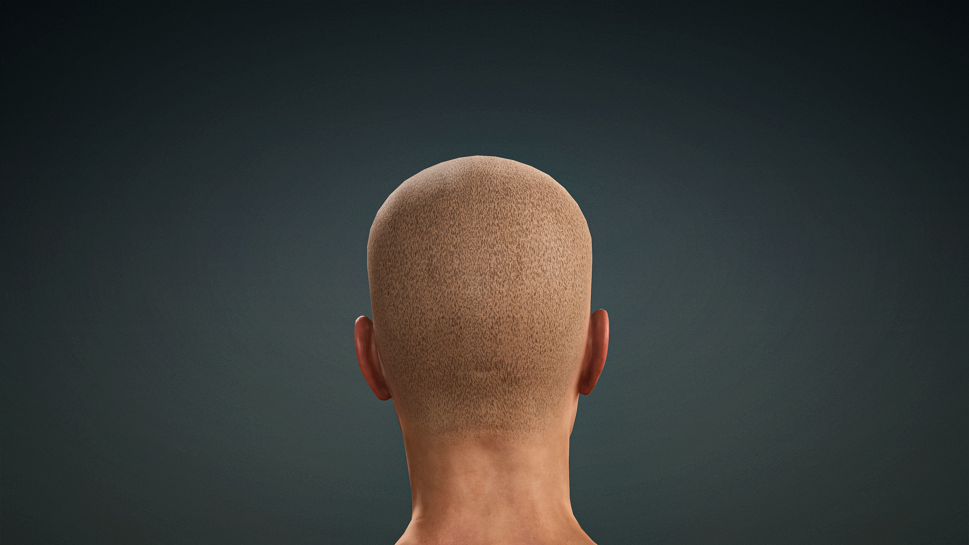 High Quality 3 Realistic Male Base Meshes -Fully Rigged- 3D Model Collection_52