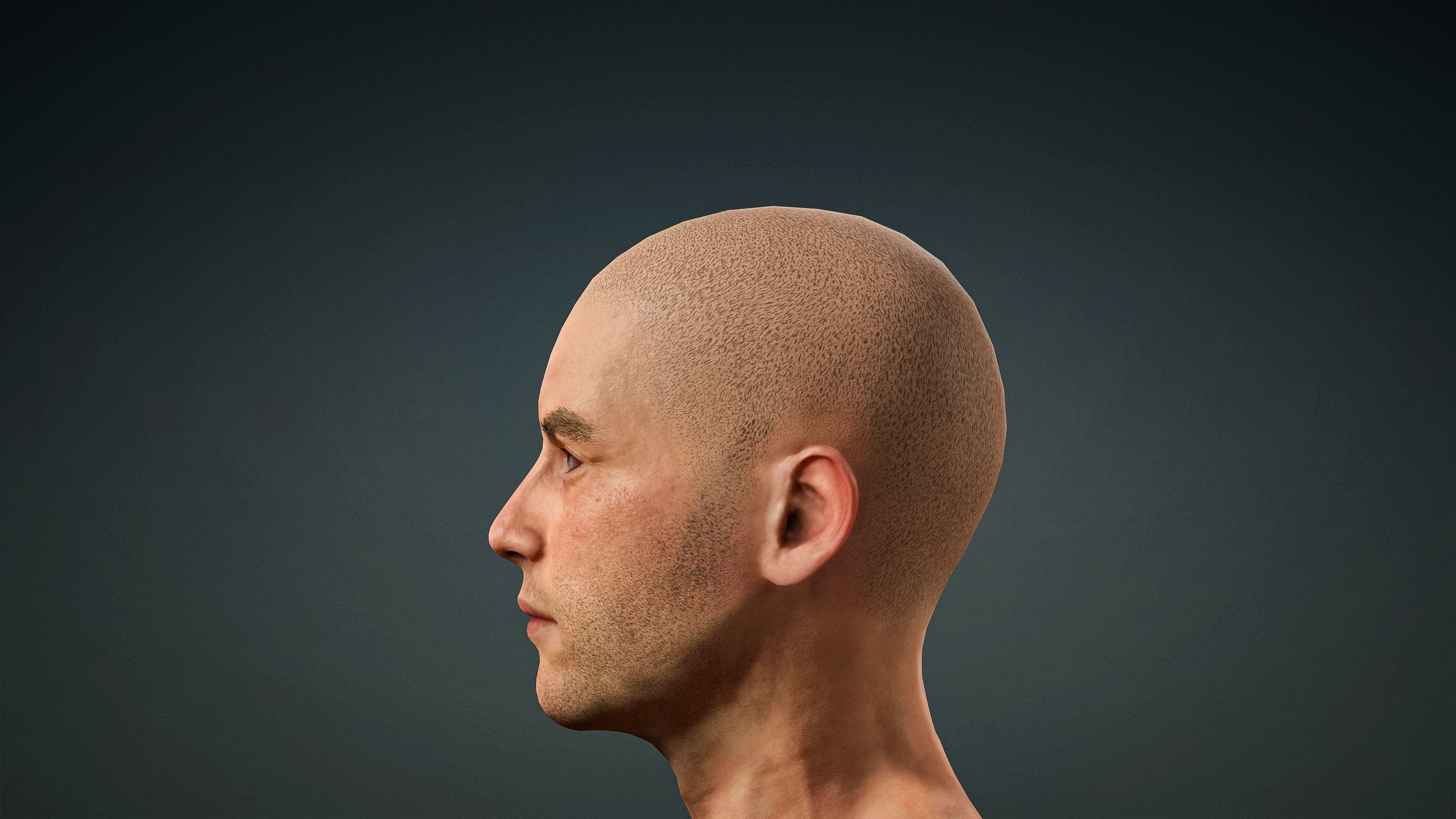 High Quality 3 Realistic Male Base Meshes -Fully Rigged- 3D Model Collection_16