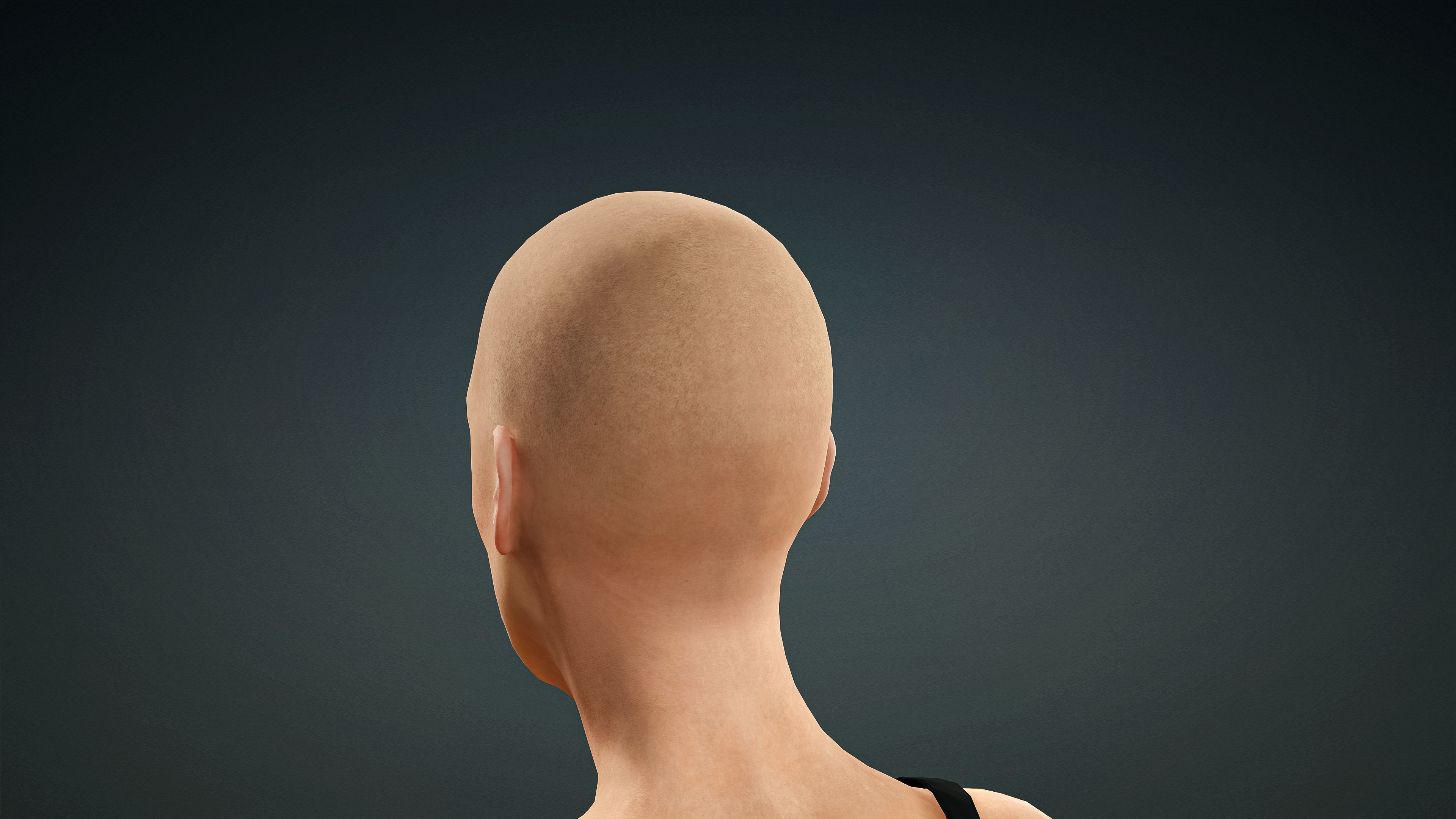 High Quality Realistic 3 Female Base Meshes -Fully Rigged- 3D Model Collection_45