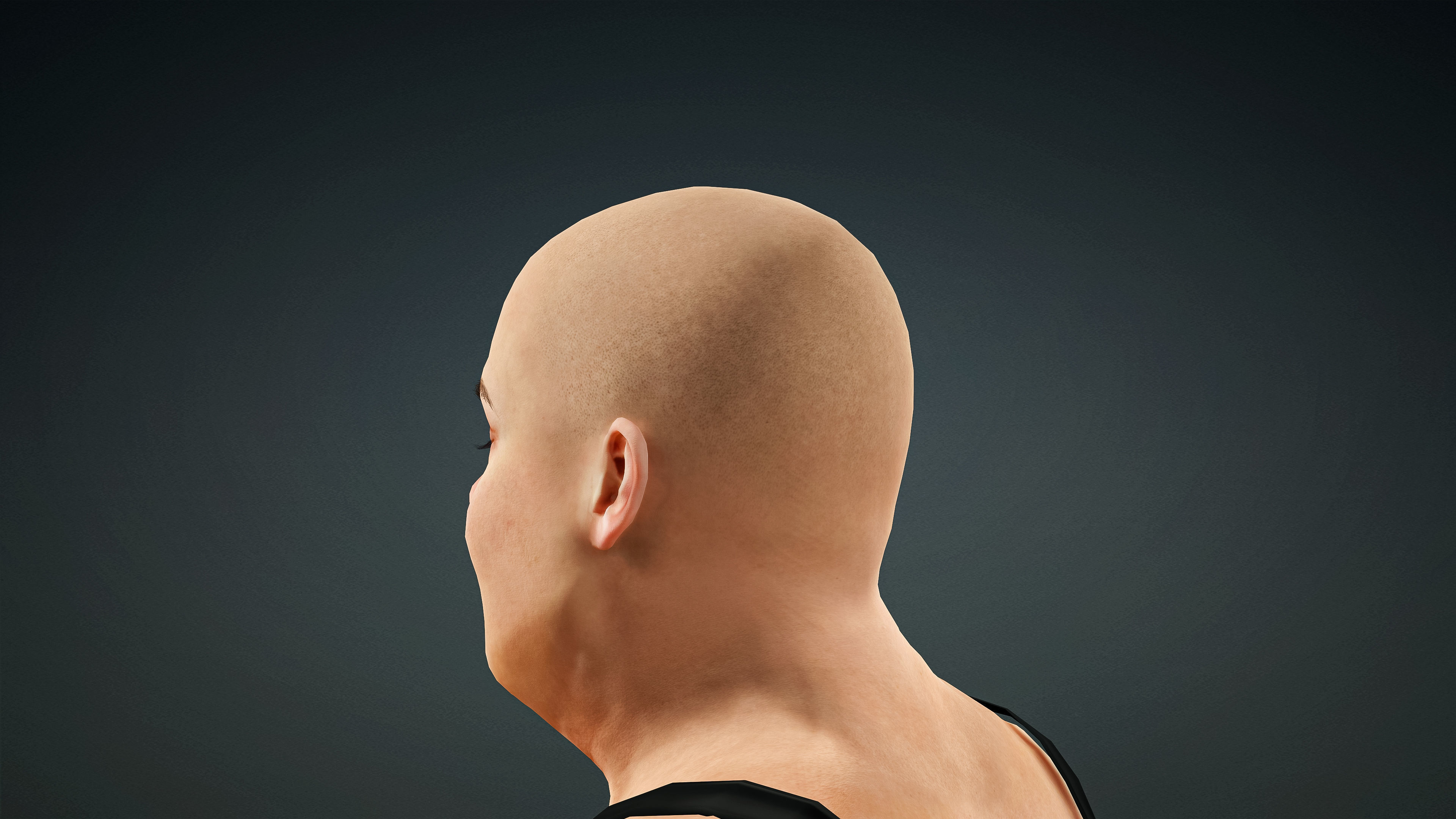 High Quality Realistic 3 Female Base Meshes -Fully Rigged- 3D Model Collection_31