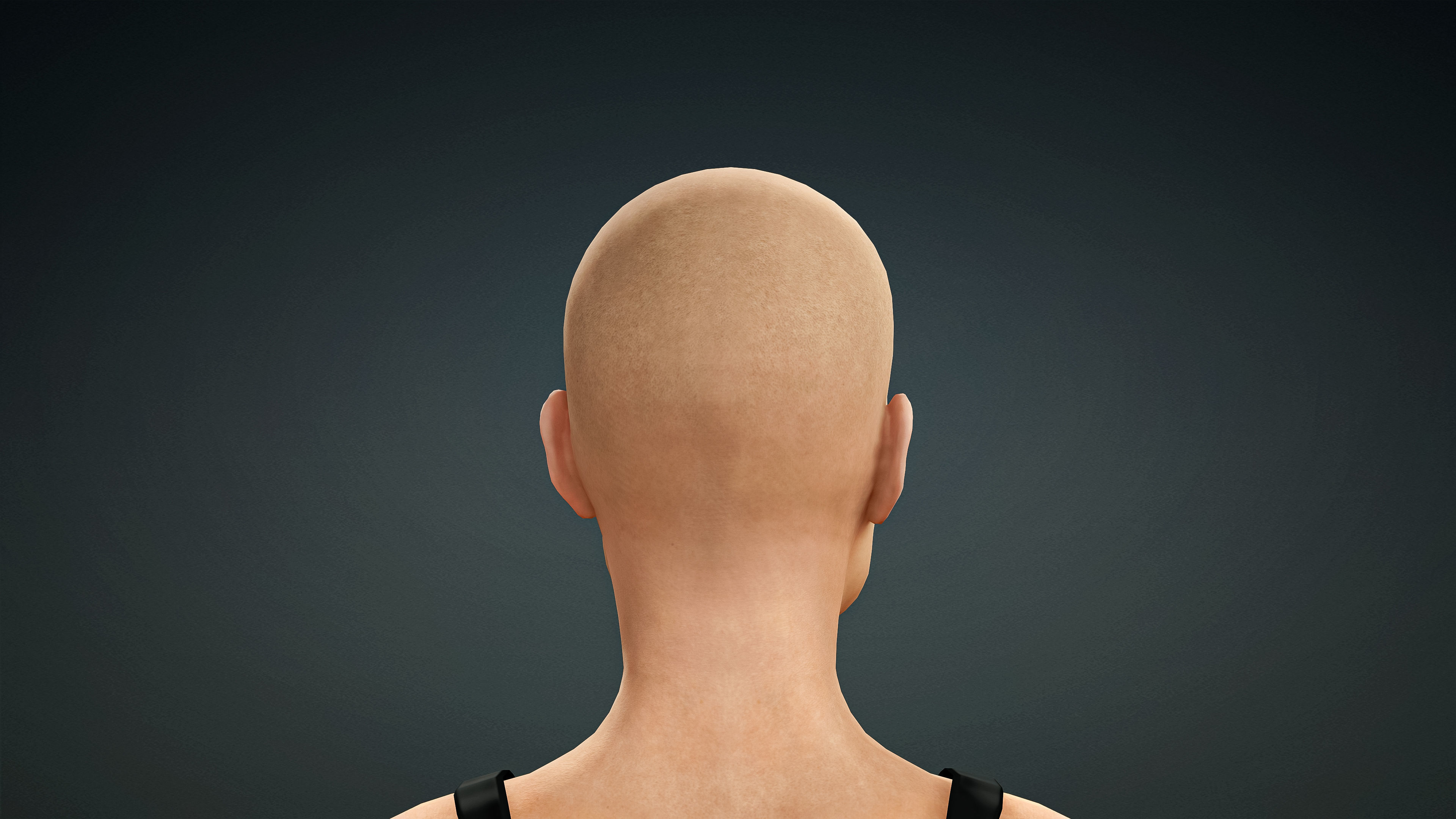 High Quality Realistic 3 Female Base Meshes -Fully Rigged- 3D Model Collection_17