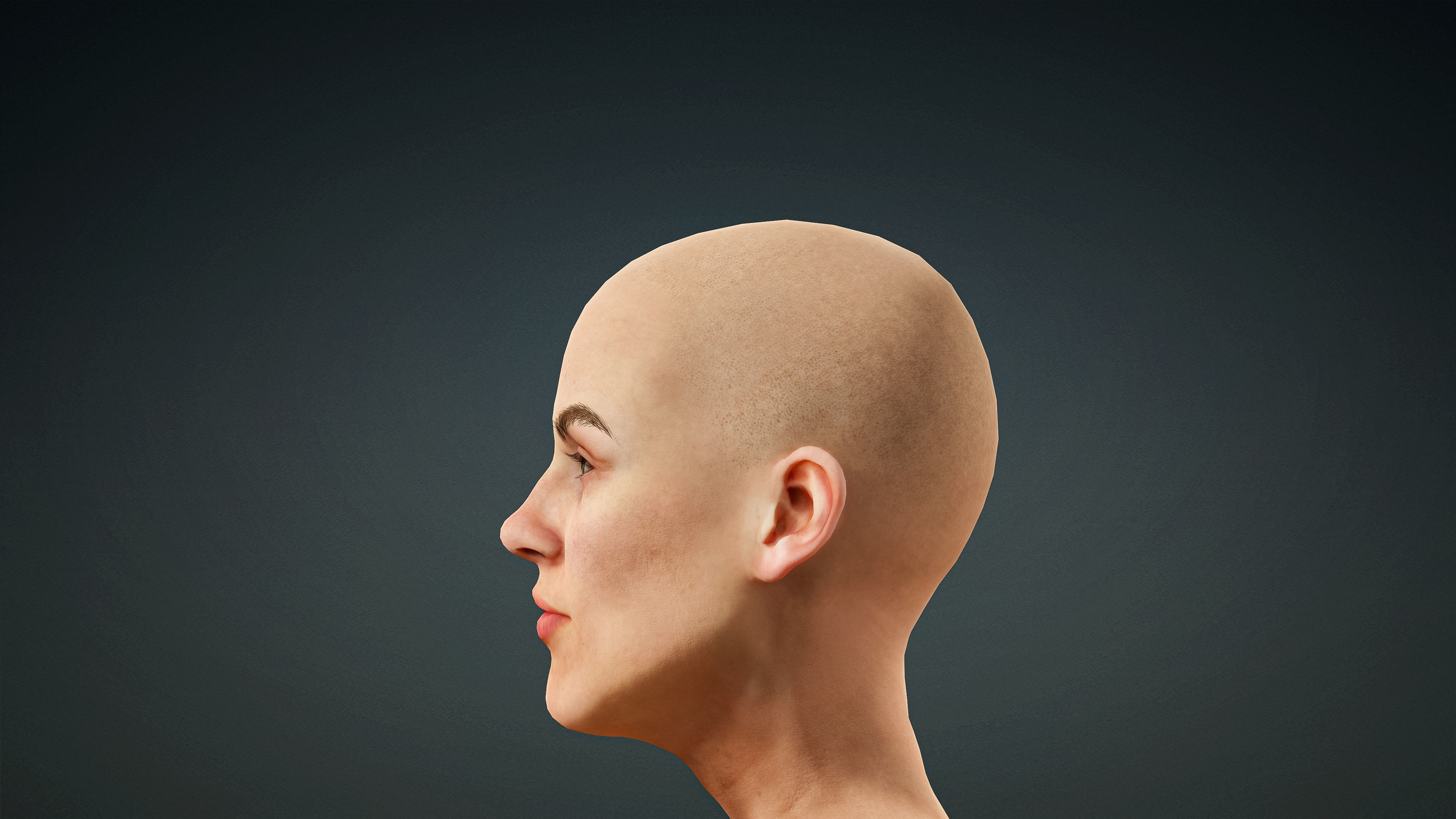 High Quality Realistic 6 Base Meshes Skinny -Fully Rigged- 3D Model Collection_43