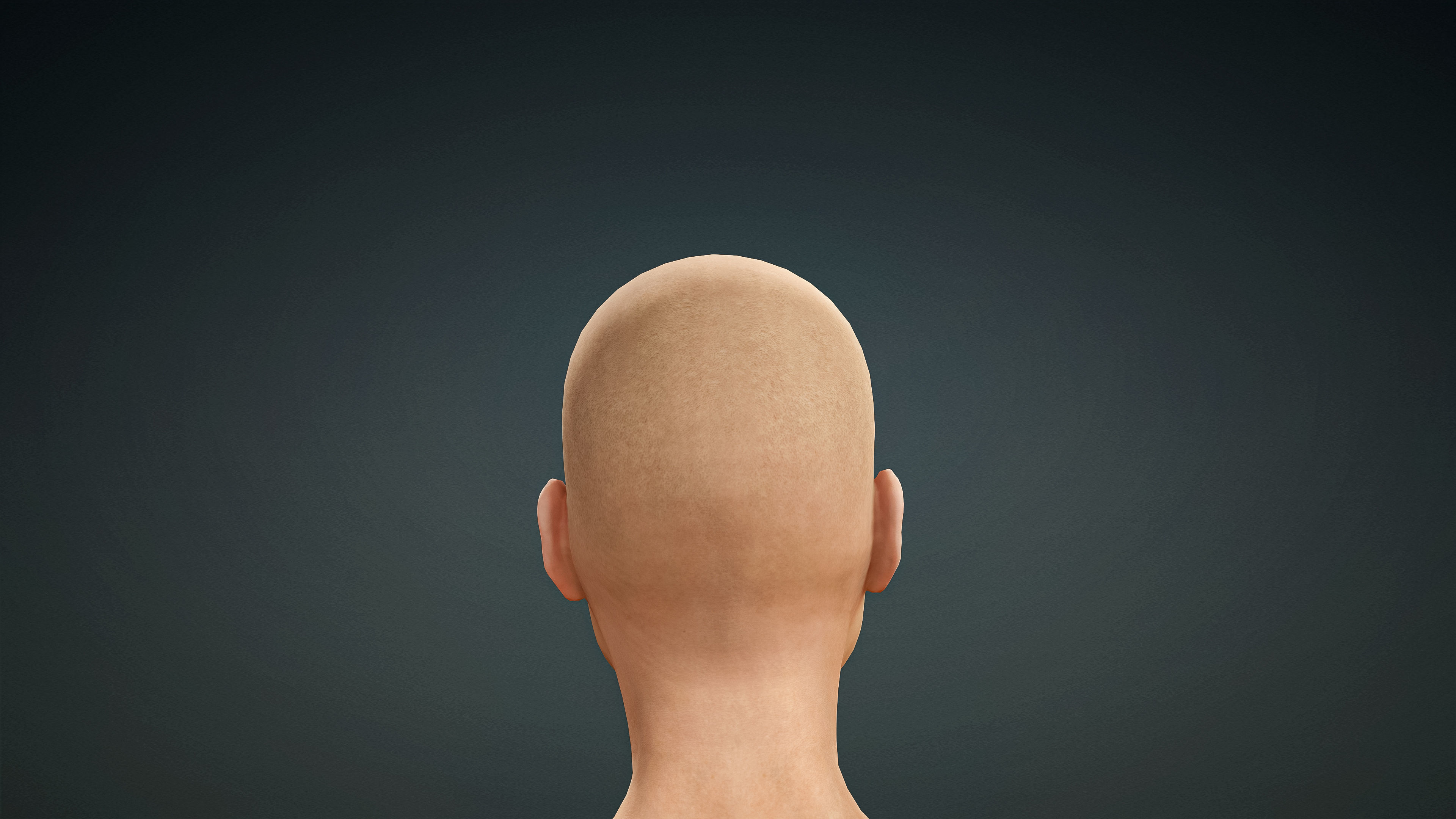 High Quality Realistic 6 Base Meshes Skinny -Fully Rigged- 3D Model Collection_47