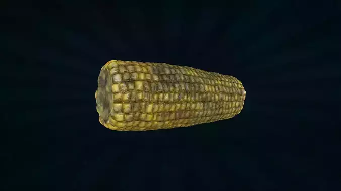 VEGE-015 Roasted Corn