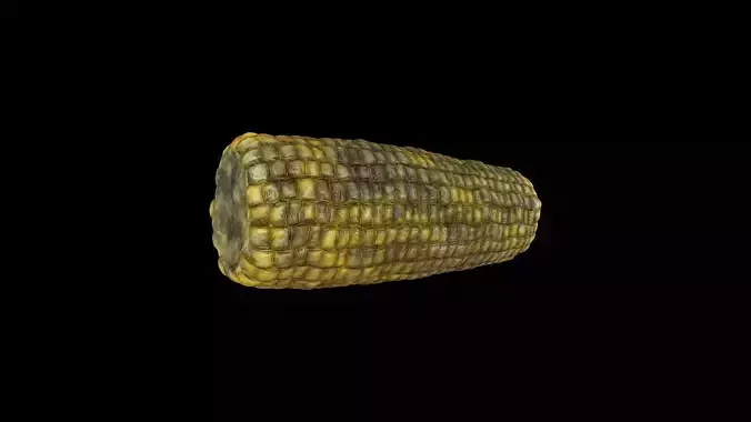 VEGS-002 Roasted Corn