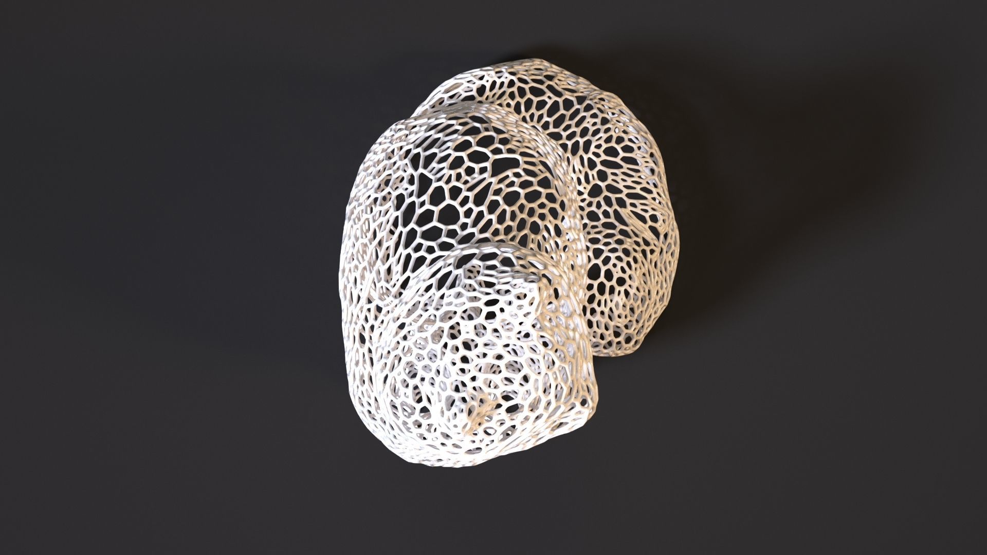 Fluffy cat 3D print model_8