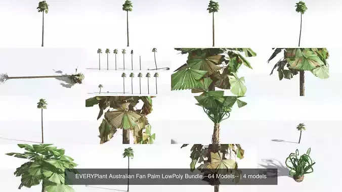 EVERYPlant Australian Fan Palm LowPoly Bundle --64 Models-- 3D Model Collection