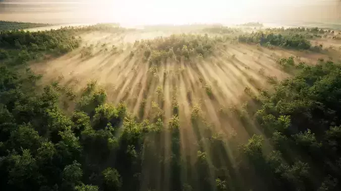 large panoramic view of tropical rain forests plains grasslands