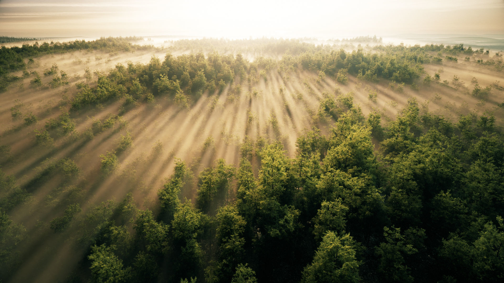 large panoramic view of tropical rain forests plains grasslands 3D model_3