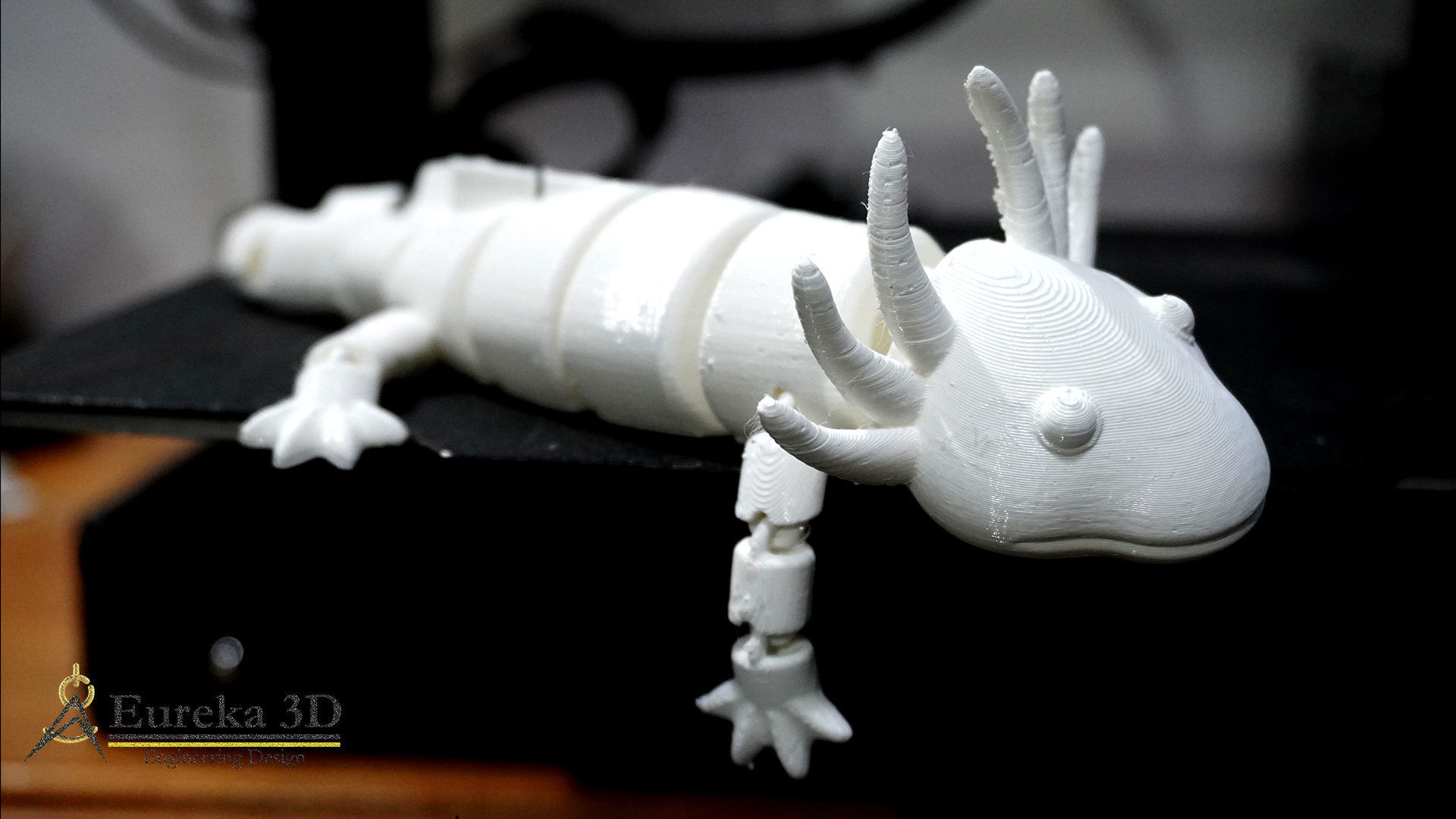 ARTICULATED AXOLOTE OR AXOLOTE 3D print model_8
