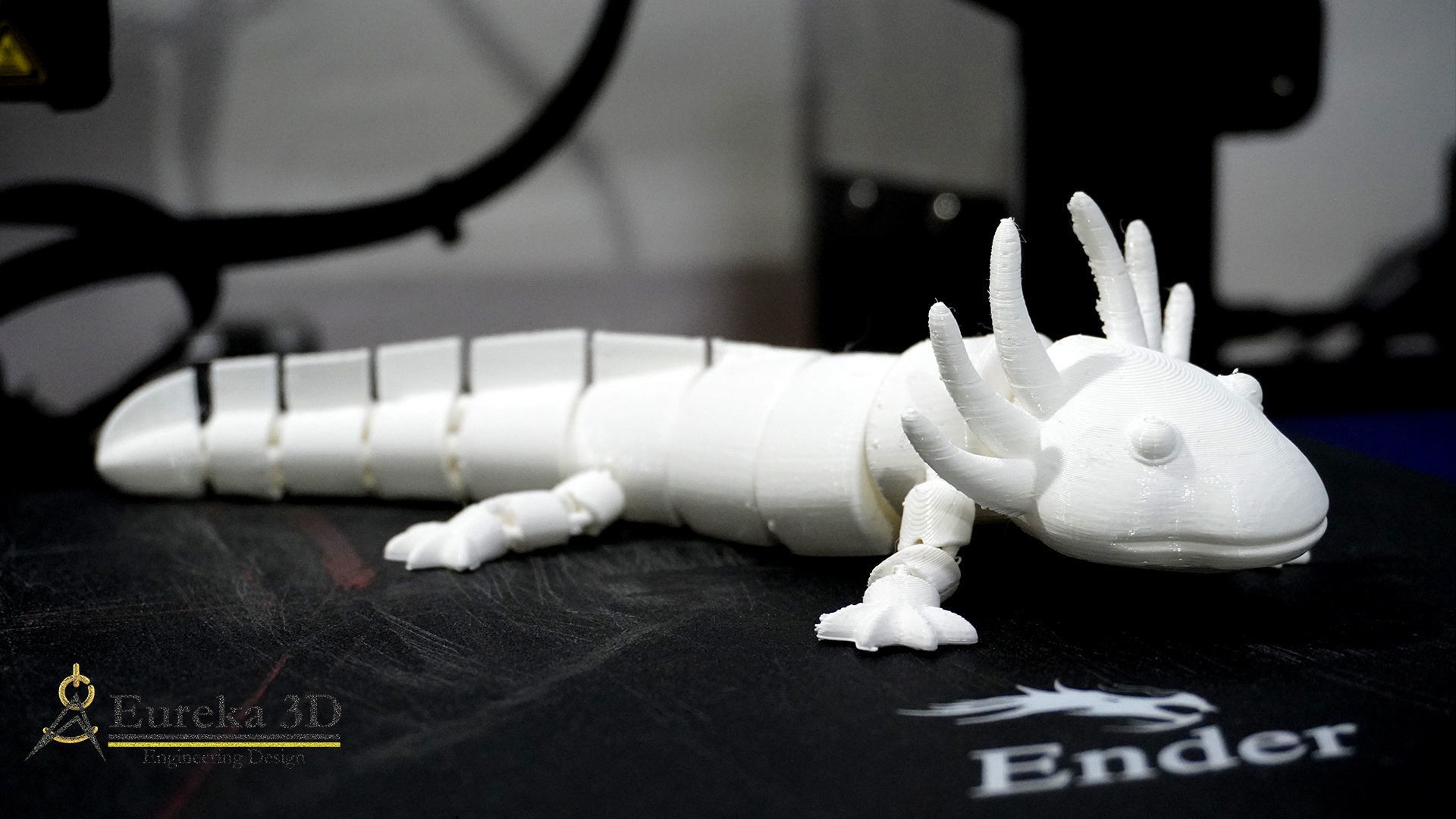 ARTICULATED AXOLOTE OR AXOLOTE 3D print model_7
