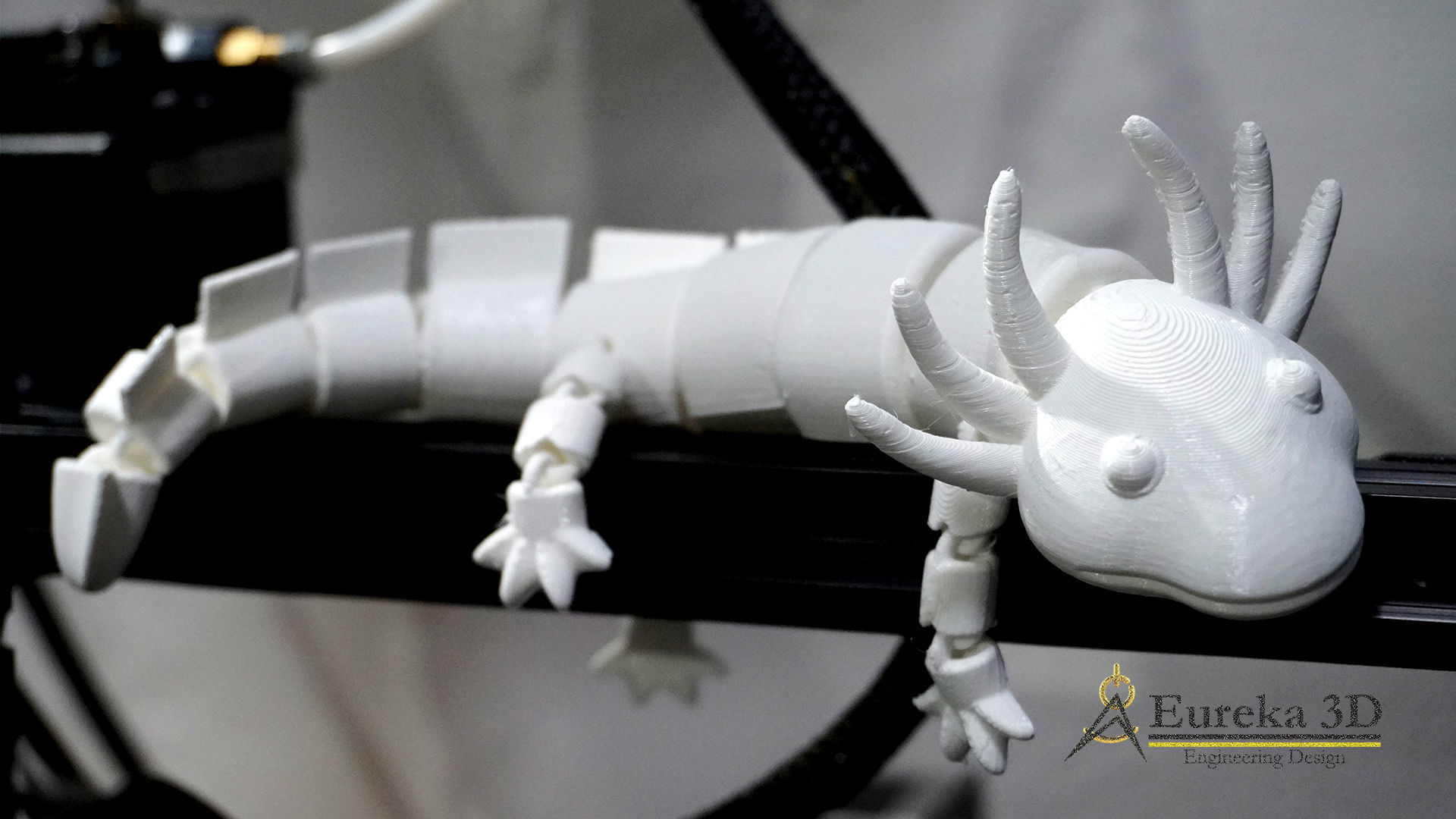 ARTICULATED AXOLOTE OR AXOLOTE 3D print model_5