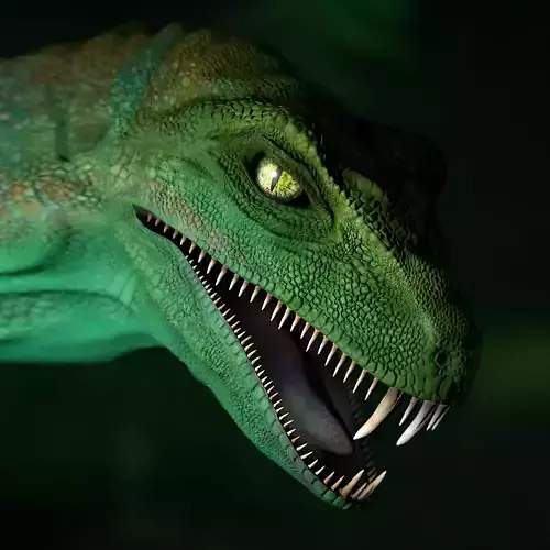 Raptor - Phantasy 3D print model
