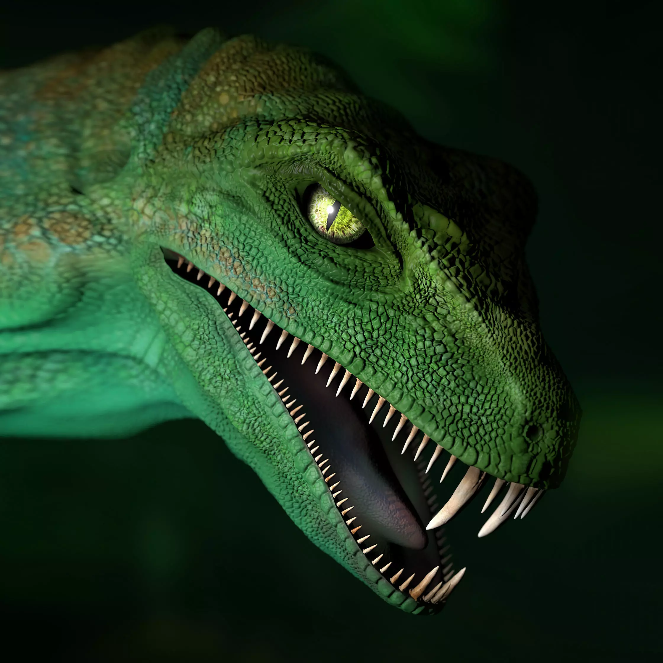 Raptor - Phantasy 3D print model