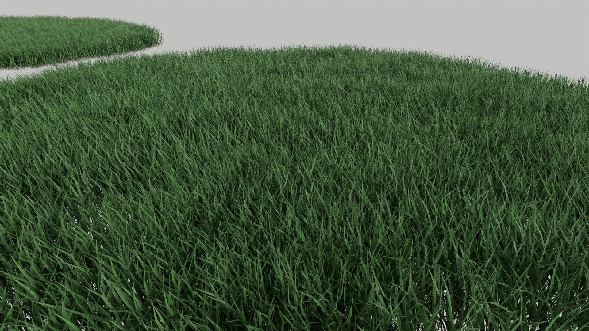 Realistic lawn grass collection - 5 Varieties  3D model_4