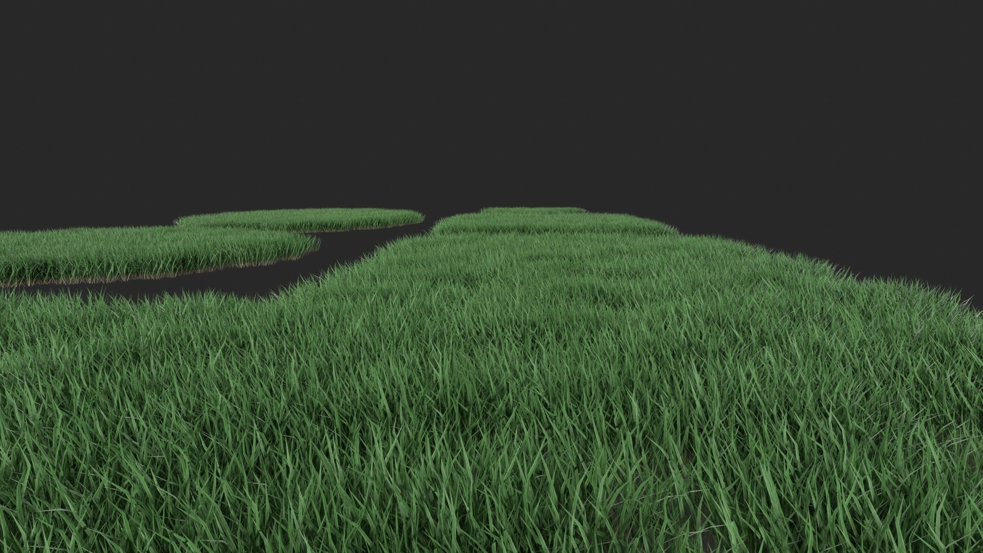 Realistic lawn grass collection - 5 Varieties  3D model_23